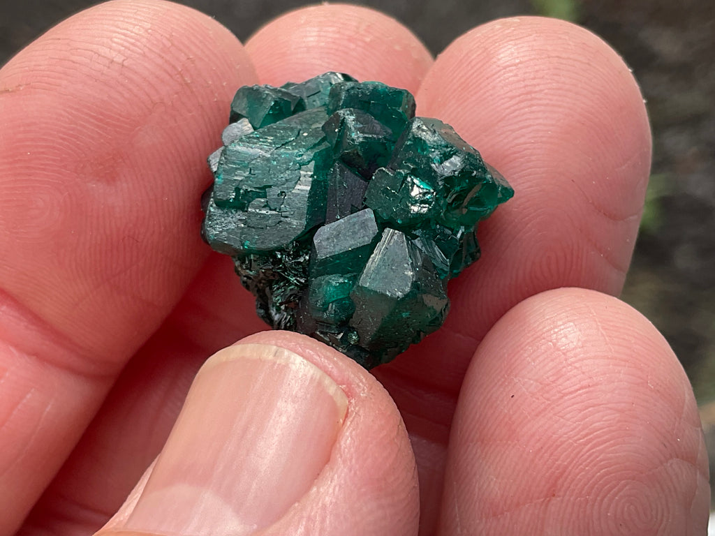 RESERVED FOR ASHRA ** 6g Congolese Dioptase Specimen B