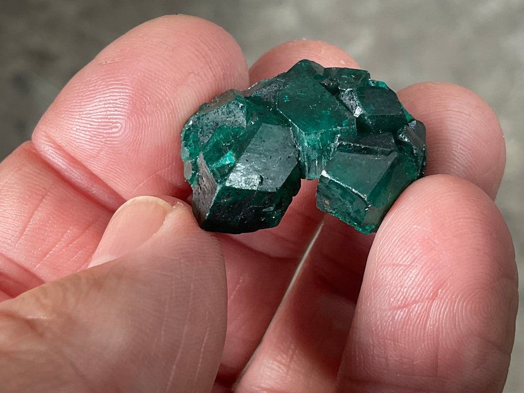 RESERVED FOR ASHRA** 10g Congolese Dioptase Specimen C