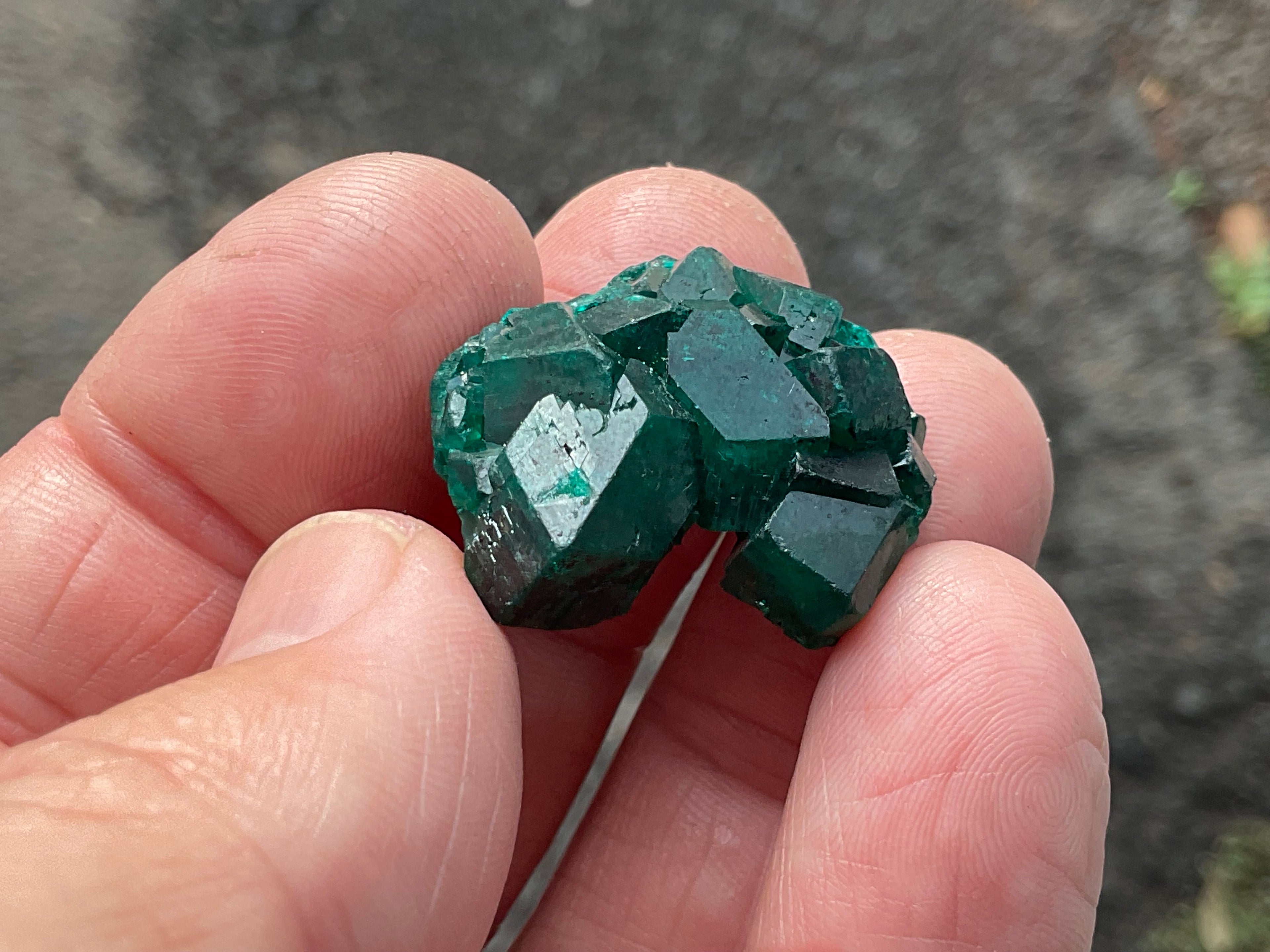 RESERVED FOR ASHRA** 10g Congolese Dioptase Specimen C