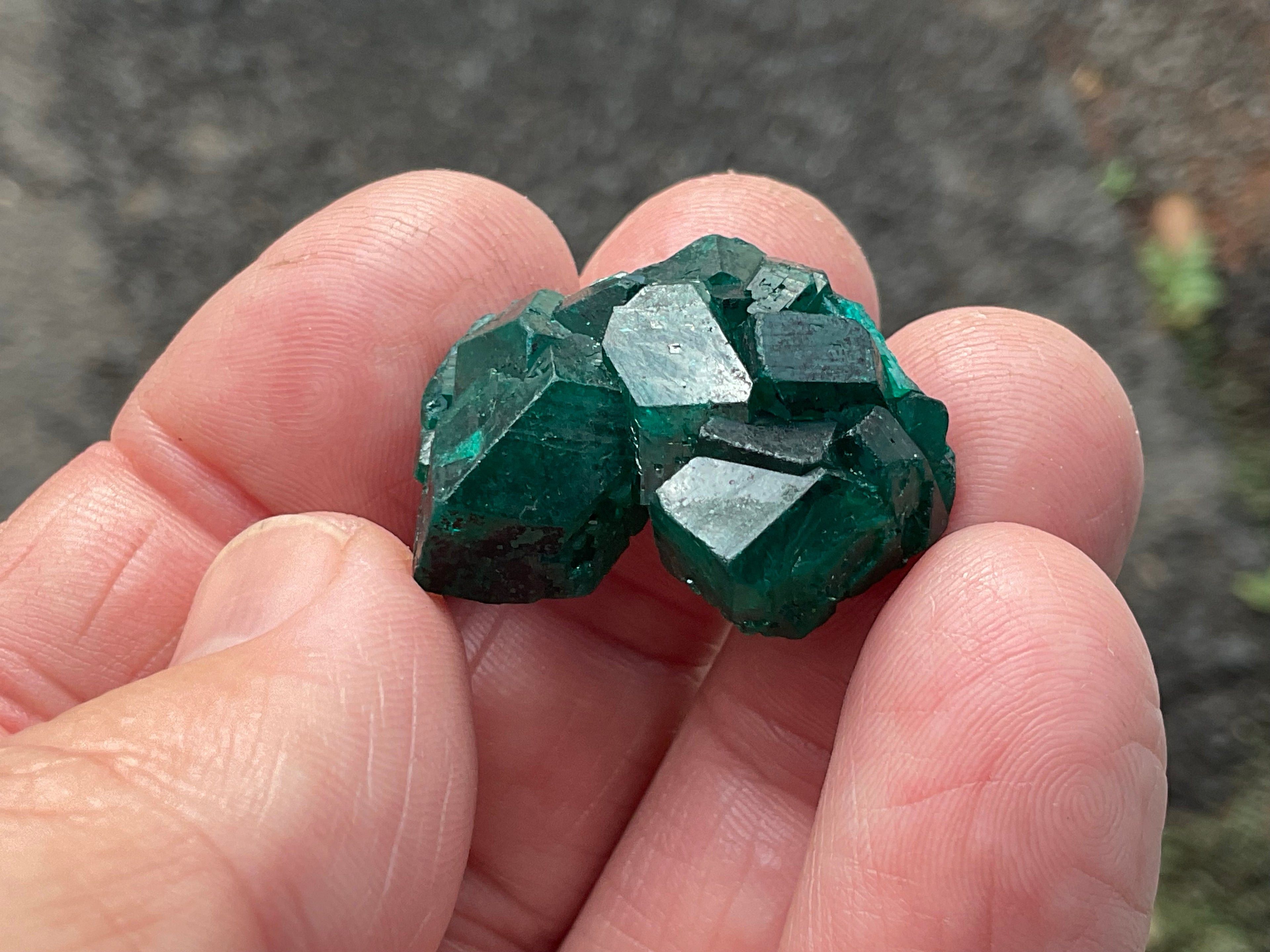RESERVED FOR ASHRA** 10g Congolese Dioptase Specimen C