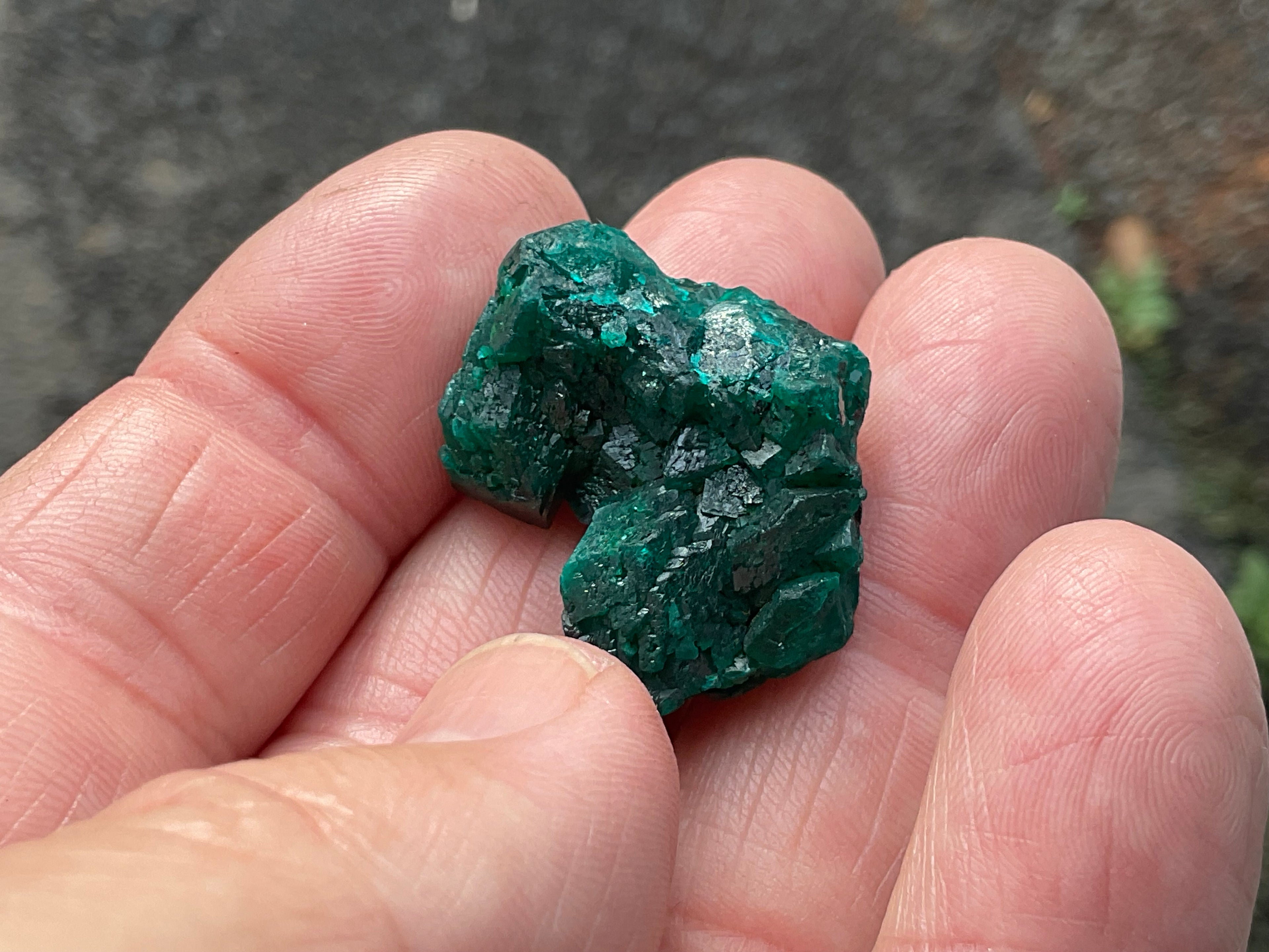 RESERVED FOR ASHRA** 10g Congolese Dioptase Specimen C