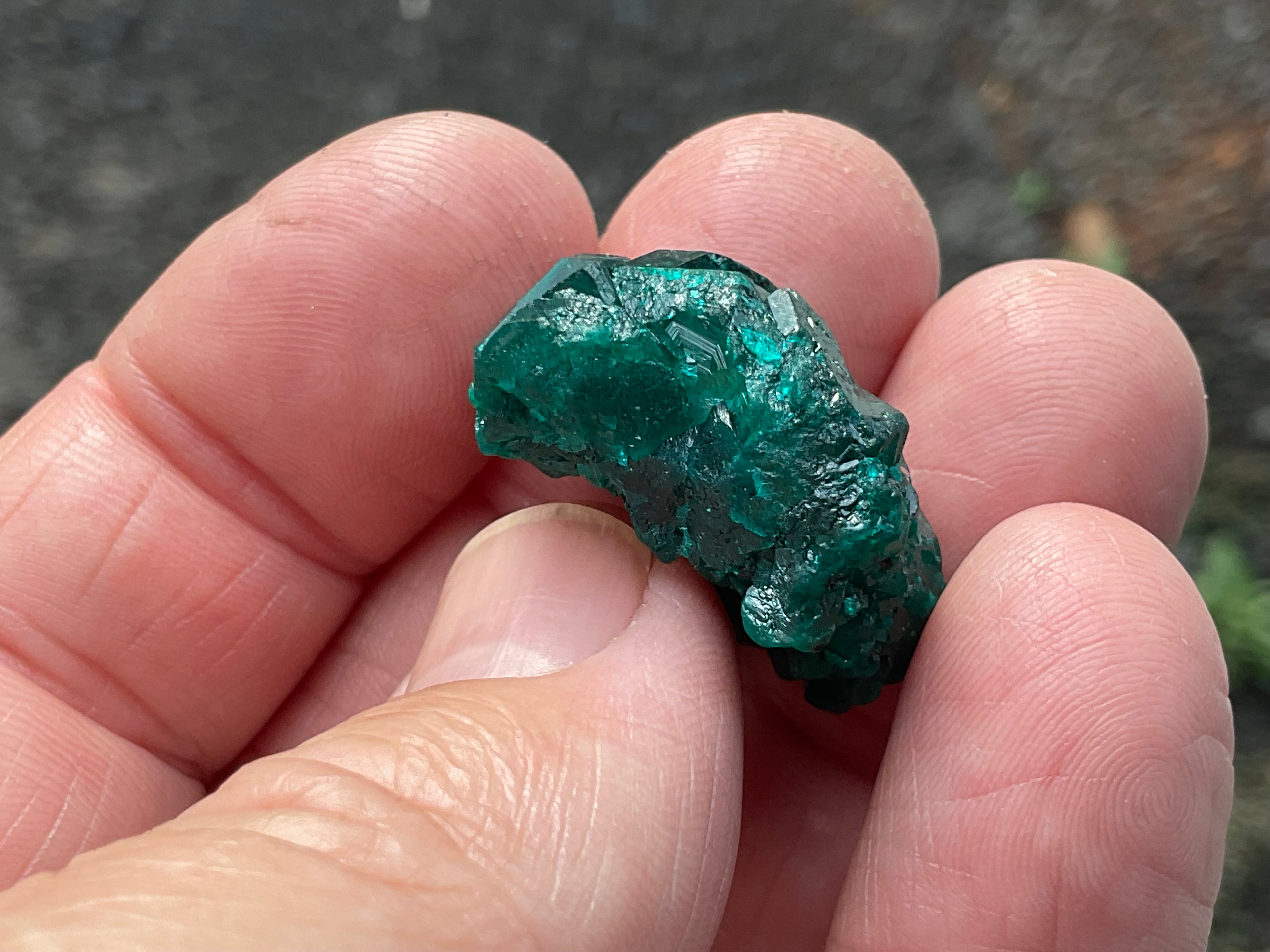 RESERVED FOR ASHRA** 10g Congolese Dioptase Specimen C