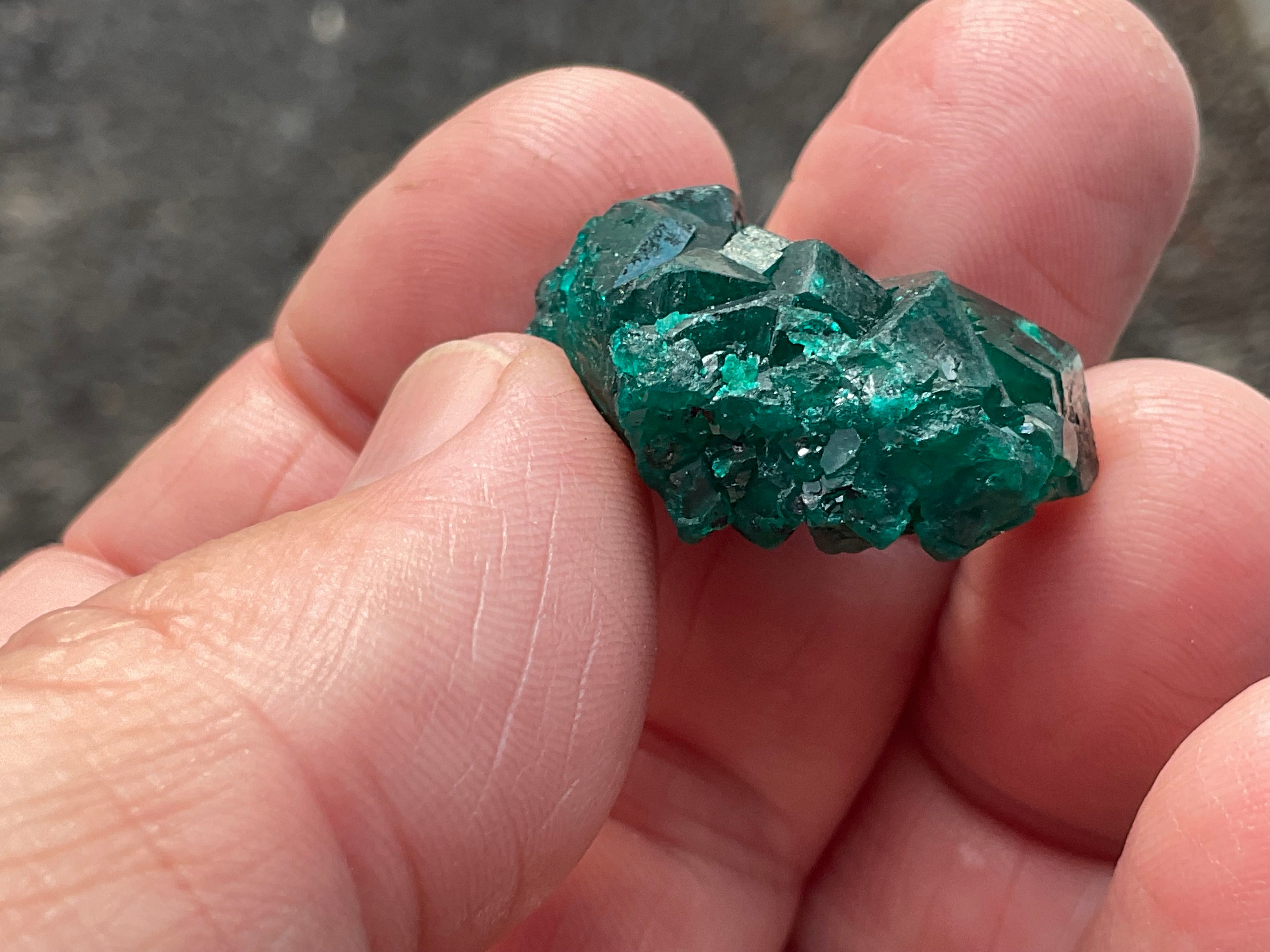 RESERVED FOR ASHRA** 10g Congolese Dioptase Specimen C