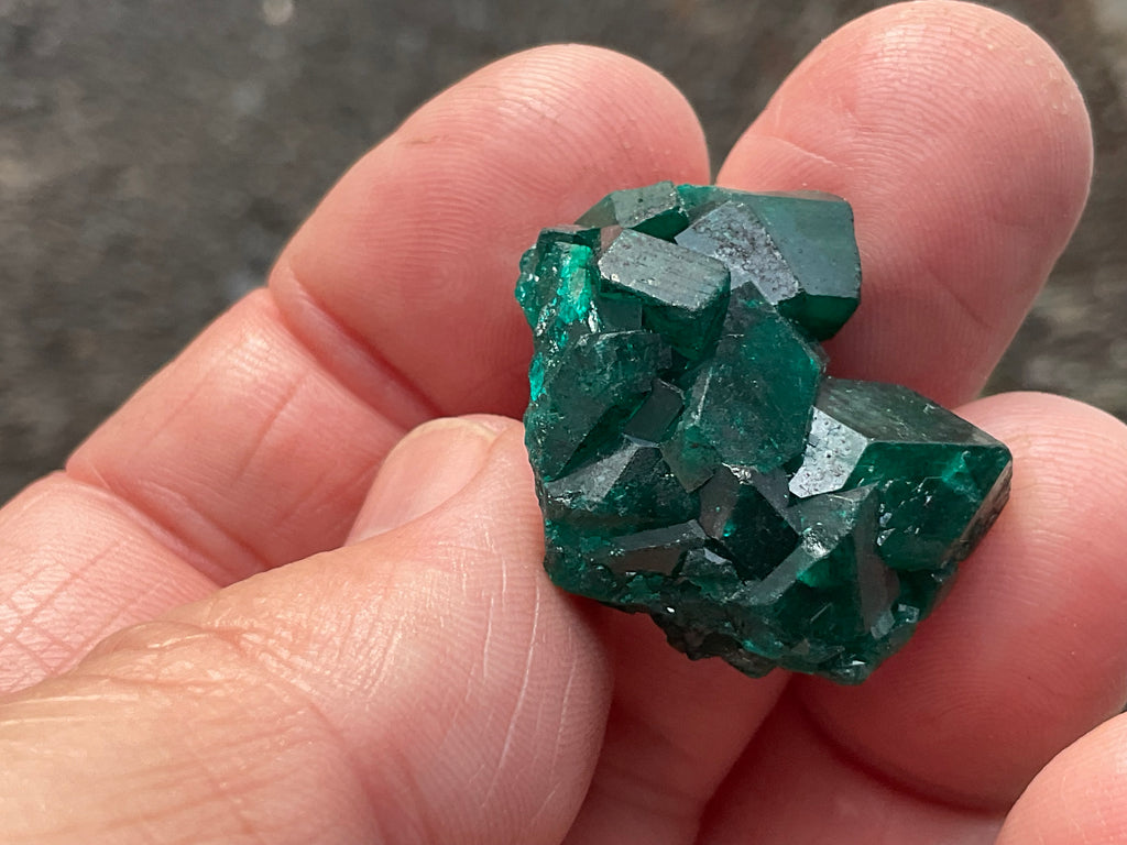 RESERVED FOR ASHRA** 10g Congolese Dioptase Specimen C