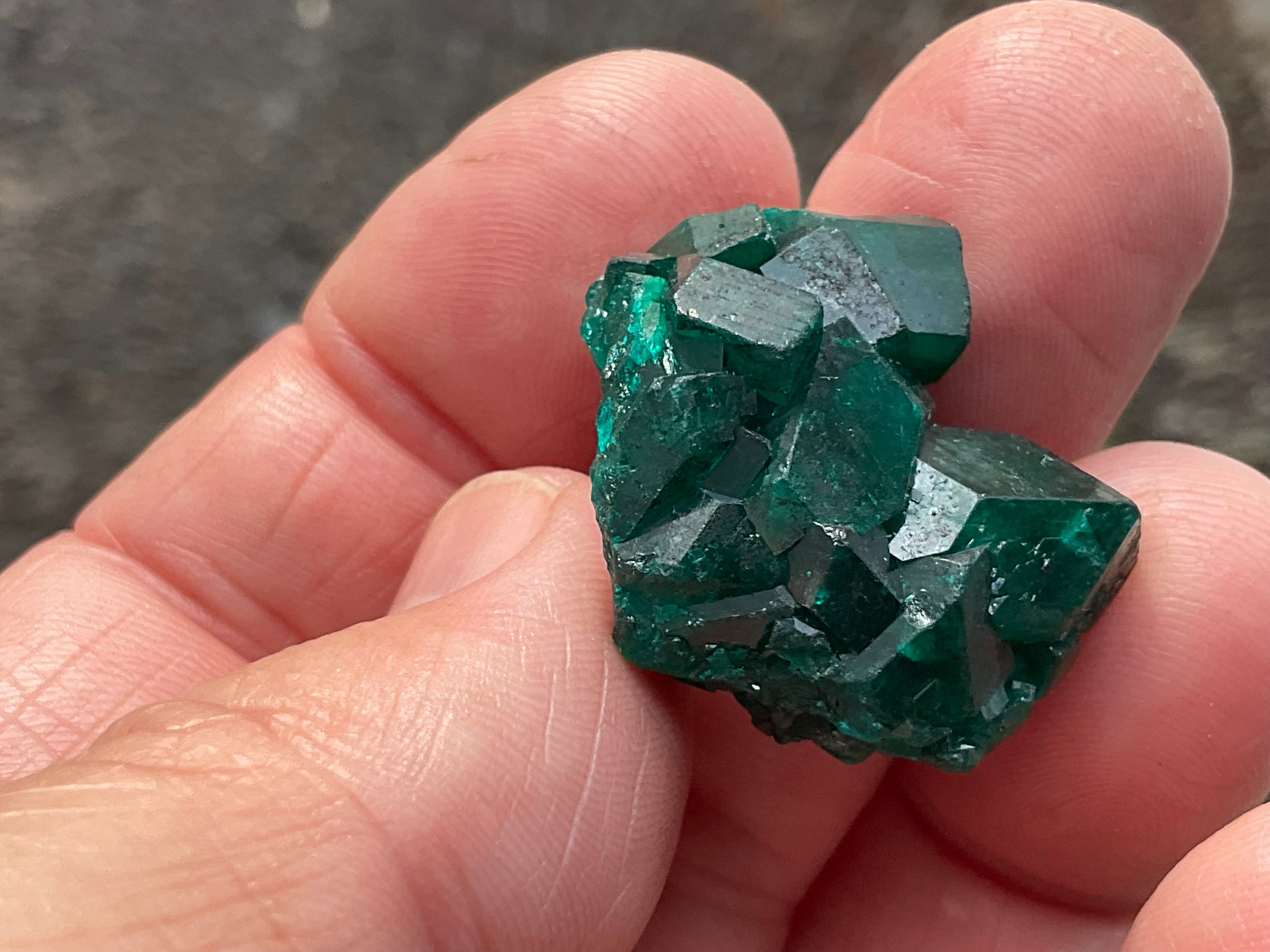 RESERVED FOR ASHRA** 10g Congolese Dioptase Specimen C