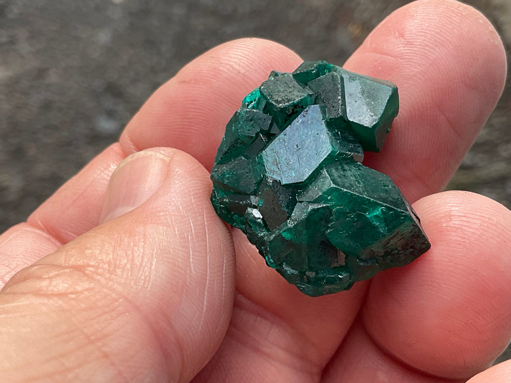 RESERVED FOR ASHRA** 10g Congolese Dioptase Specimen C