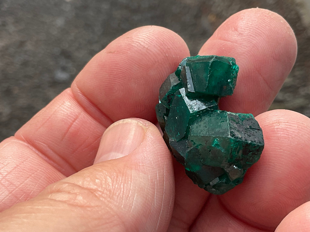 RESERVED FOR ASHRA** 10g Congolese Dioptase Specimen C