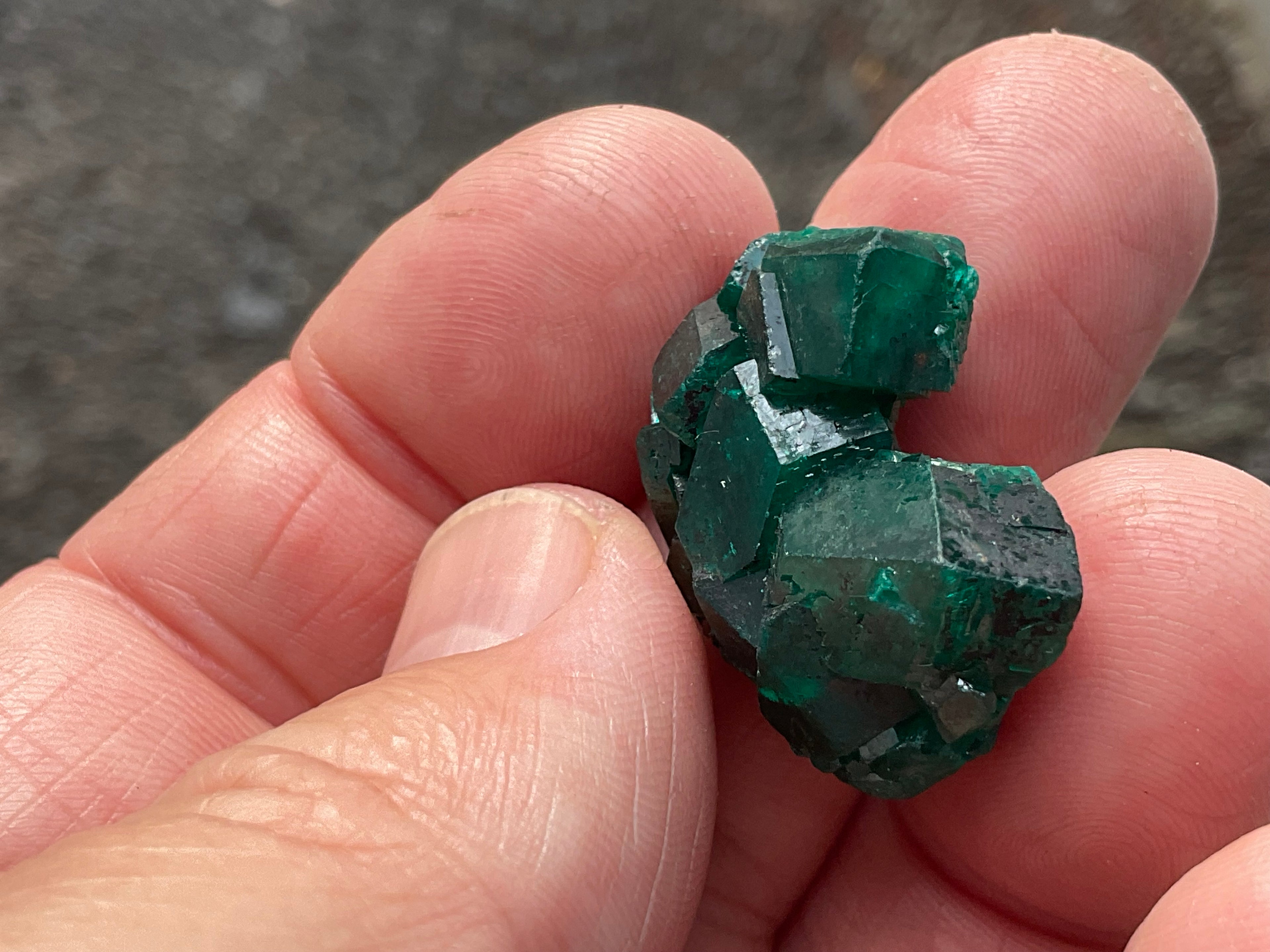 RESERVED FOR ASHRA** 10g Congolese Dioptase Specimen C