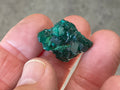 4g Congolese Dioptase Specimen 4A