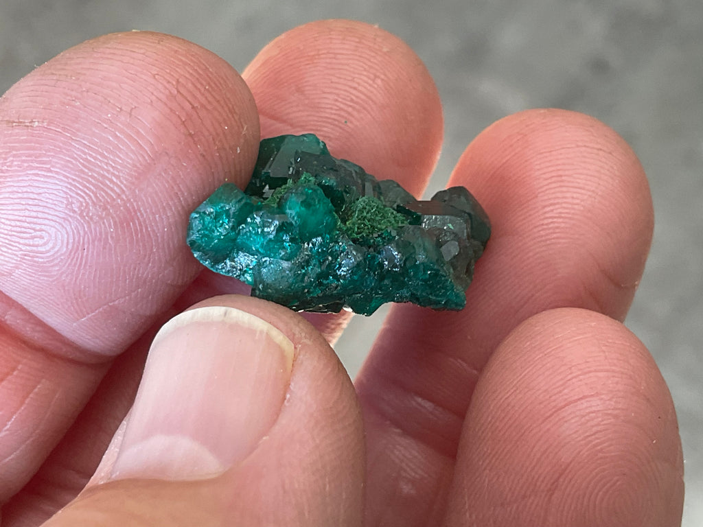 4g Congolese Dioptase Specimen 4A