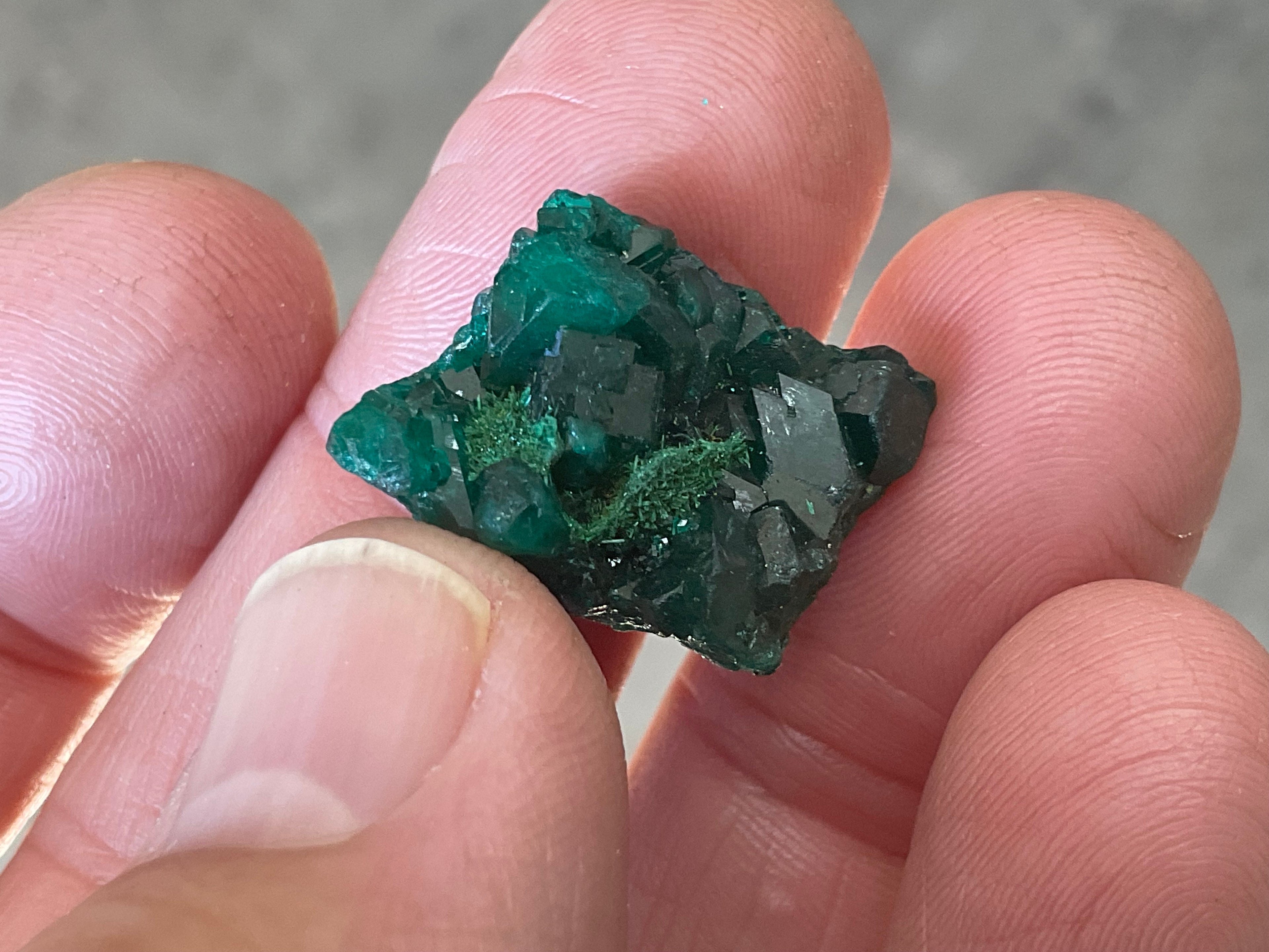 4g Congolese Dioptase Specimen 4A