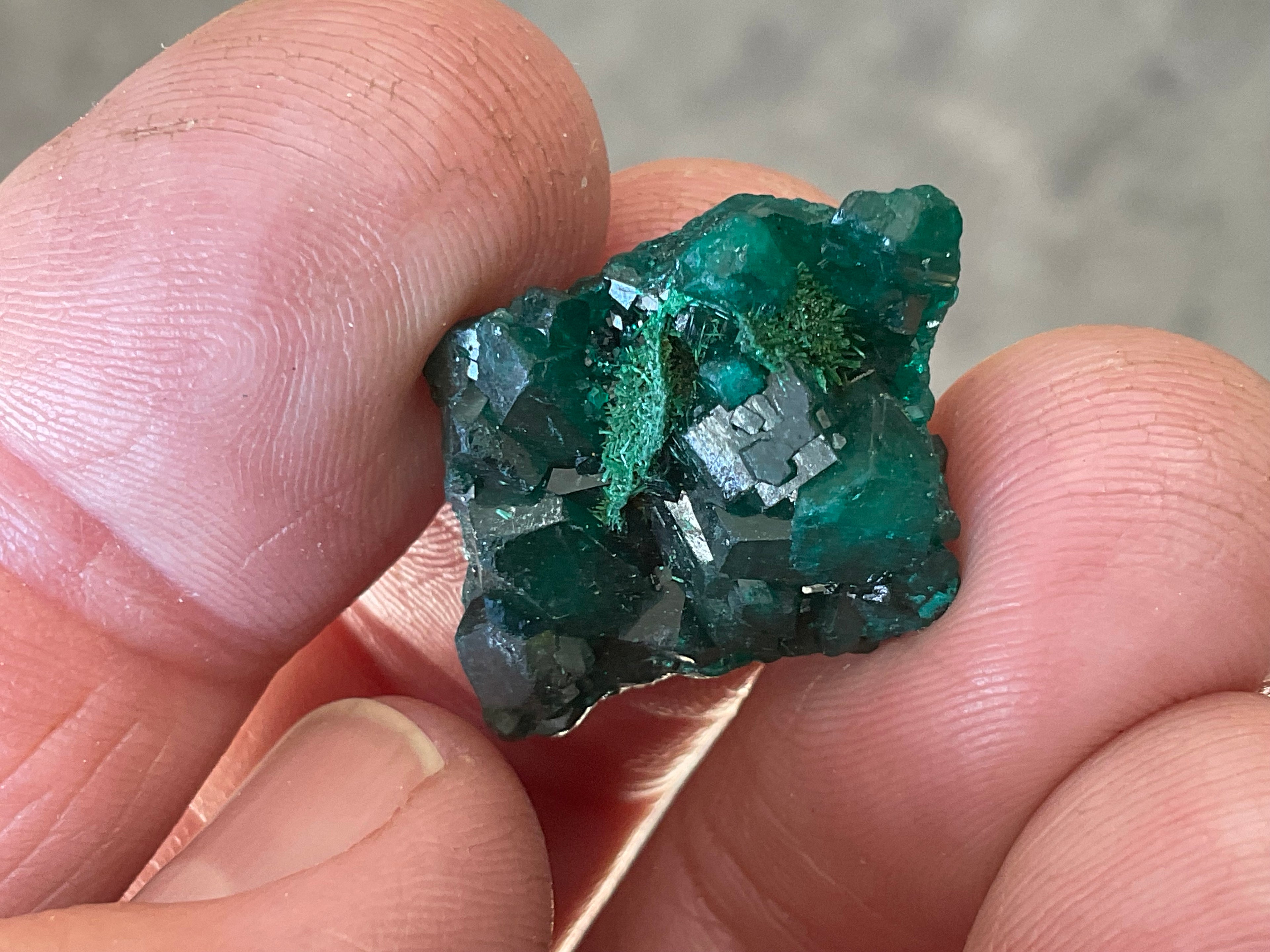 4g Congolese Dioptase Specimen 4A