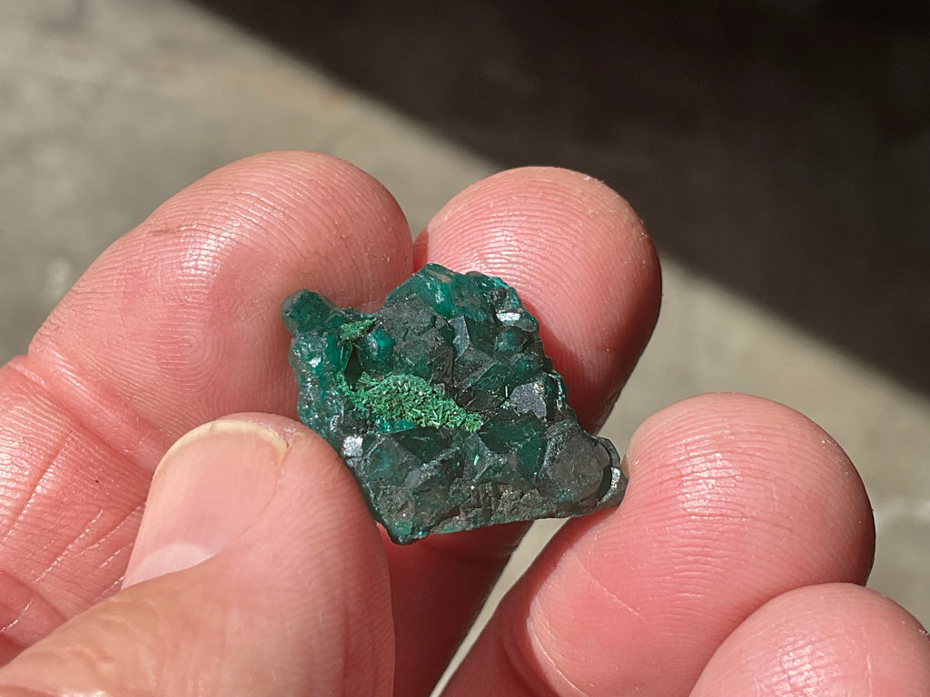 4g Congolese Dioptase Specimen 4A