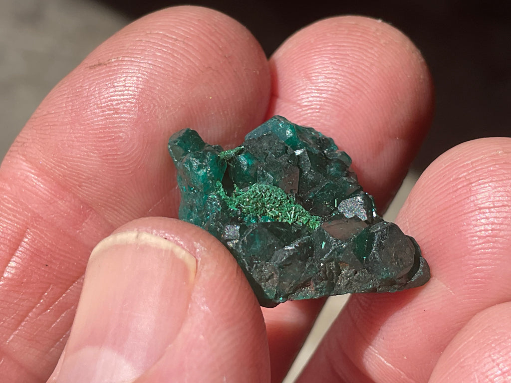 4g Congolese Dioptase Specimen 4A