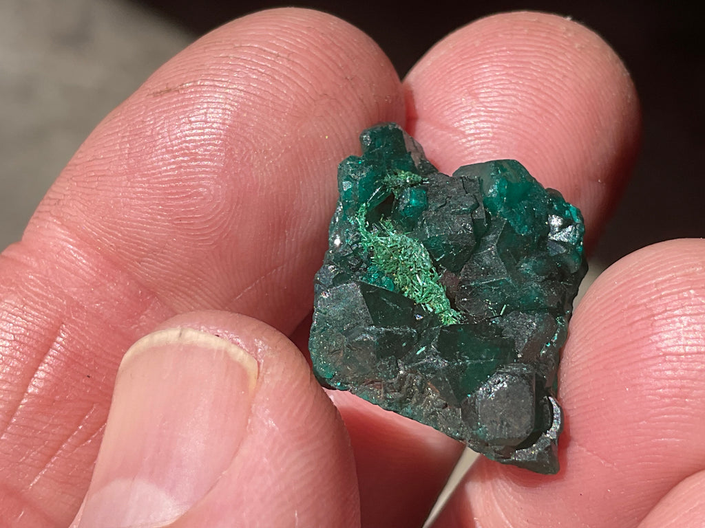4g Congolese Dioptase Specimen 4A