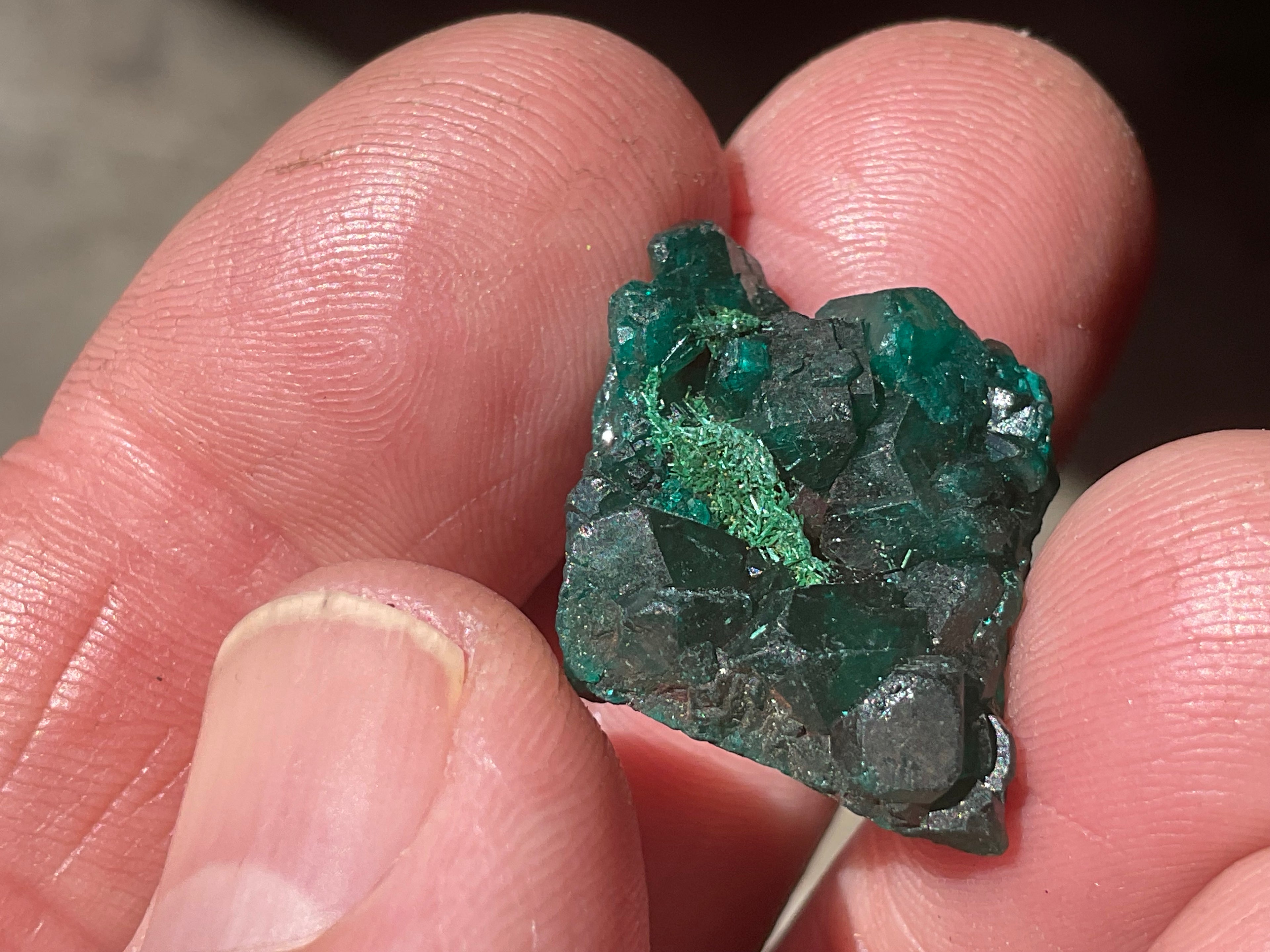 4g Congolese Dioptase Specimen 4A