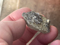 16g Quartz, Calcite and Arsenopyrite Specimen 1B