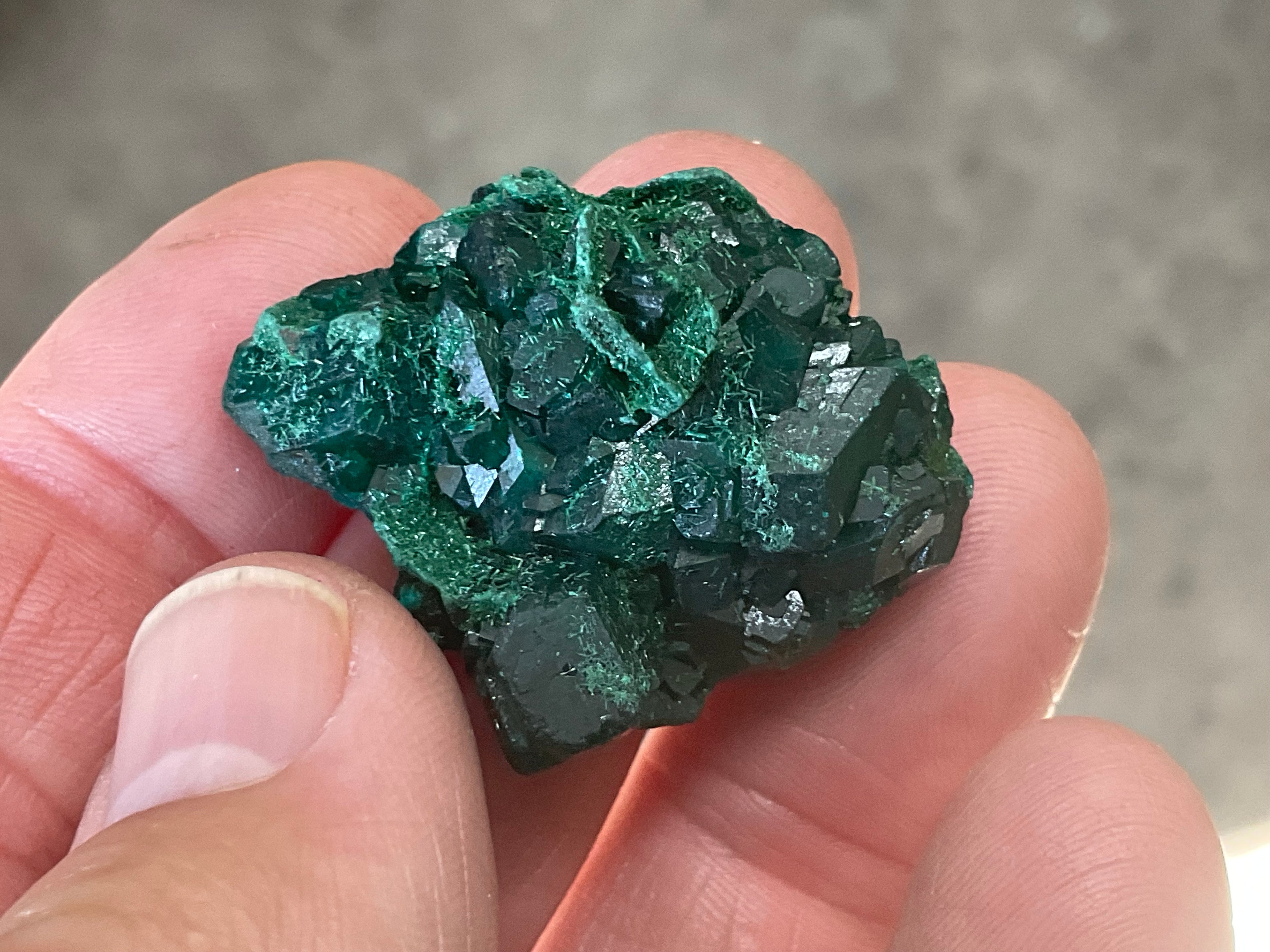 18g Congolese Dioptase Specimen 7C