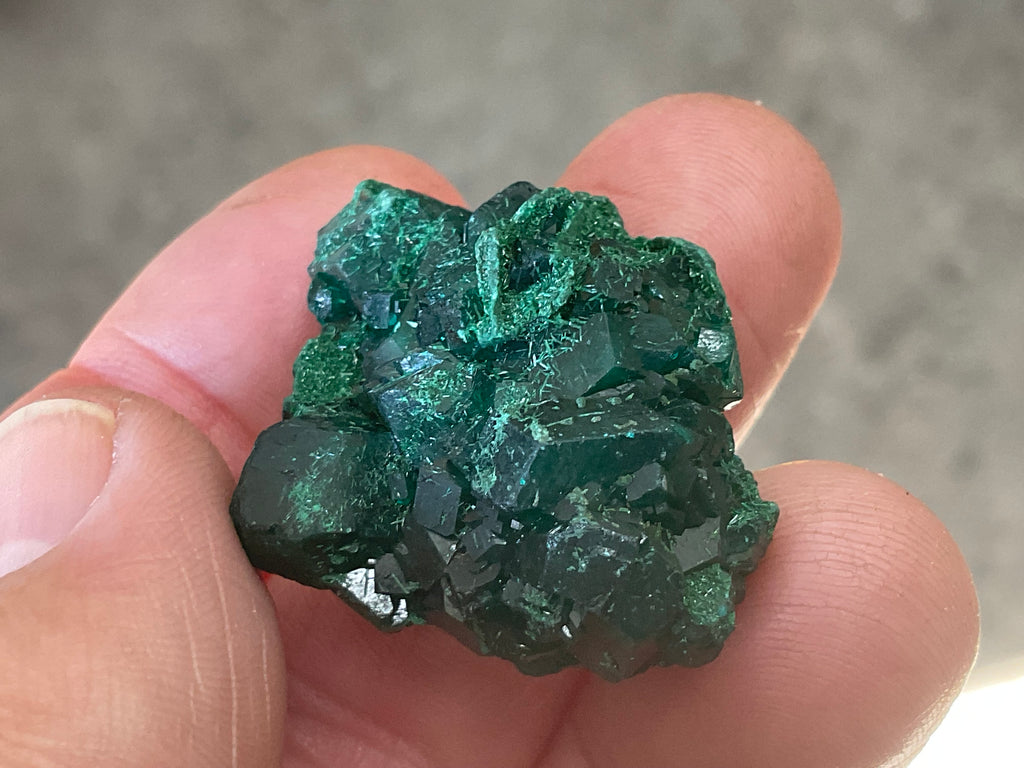 18g Congolese Dioptase Specimen 7C