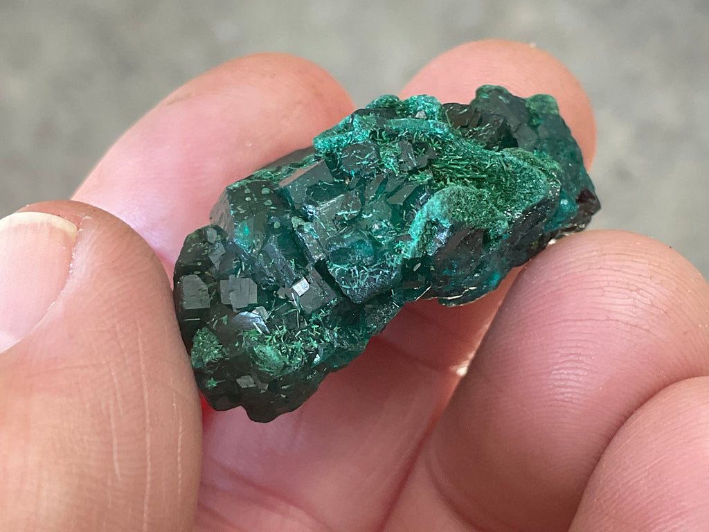 18g Congolese Dioptase Specimen 7C