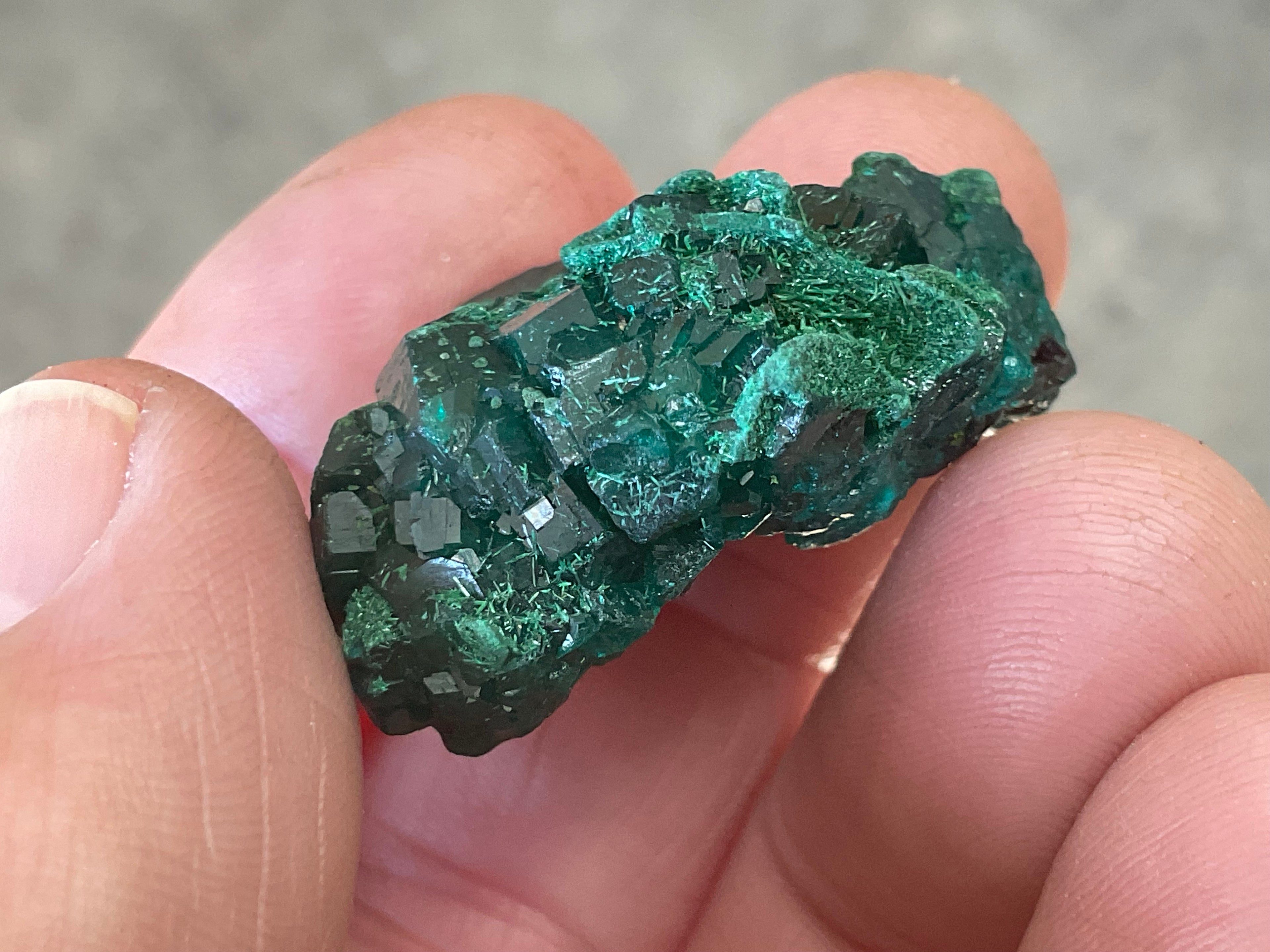 18g Congolese Dioptase Specimen 7C