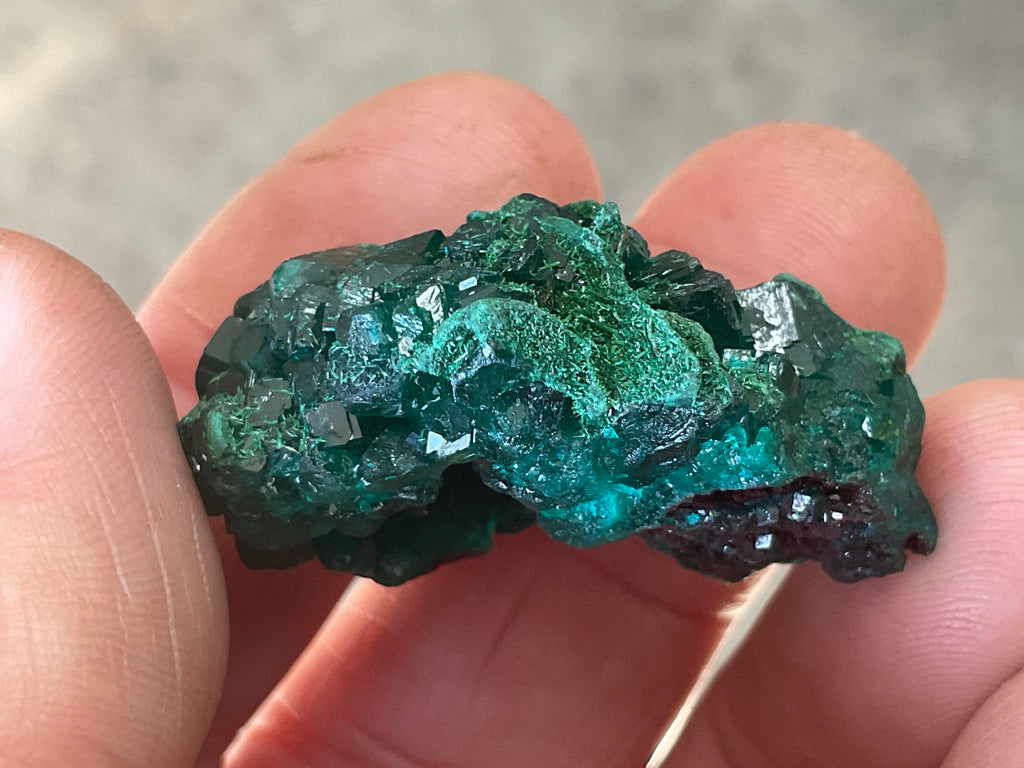 18g Congolese Dioptase Specimen 7C