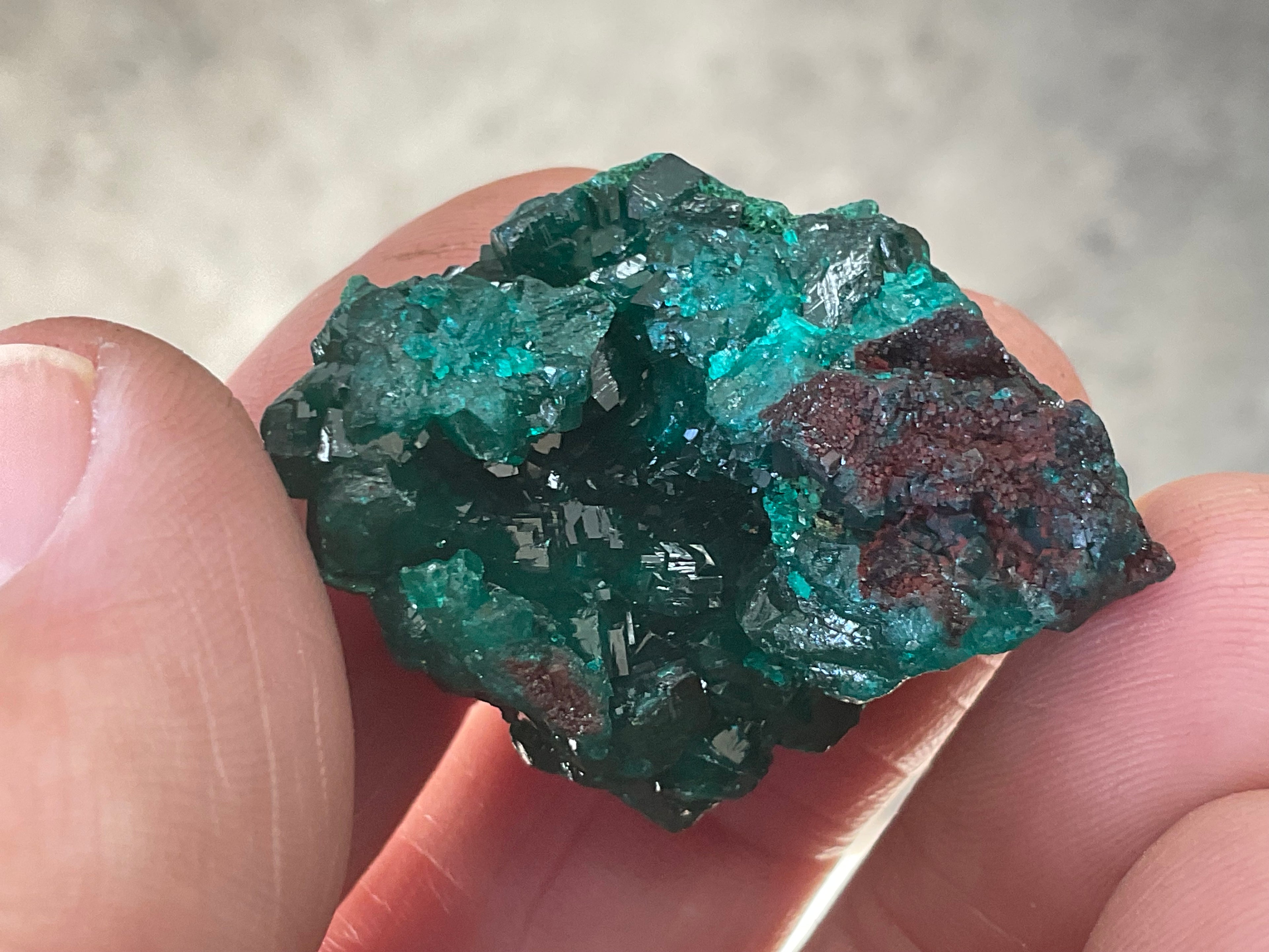 18g Congolese Dioptase Specimen 7C