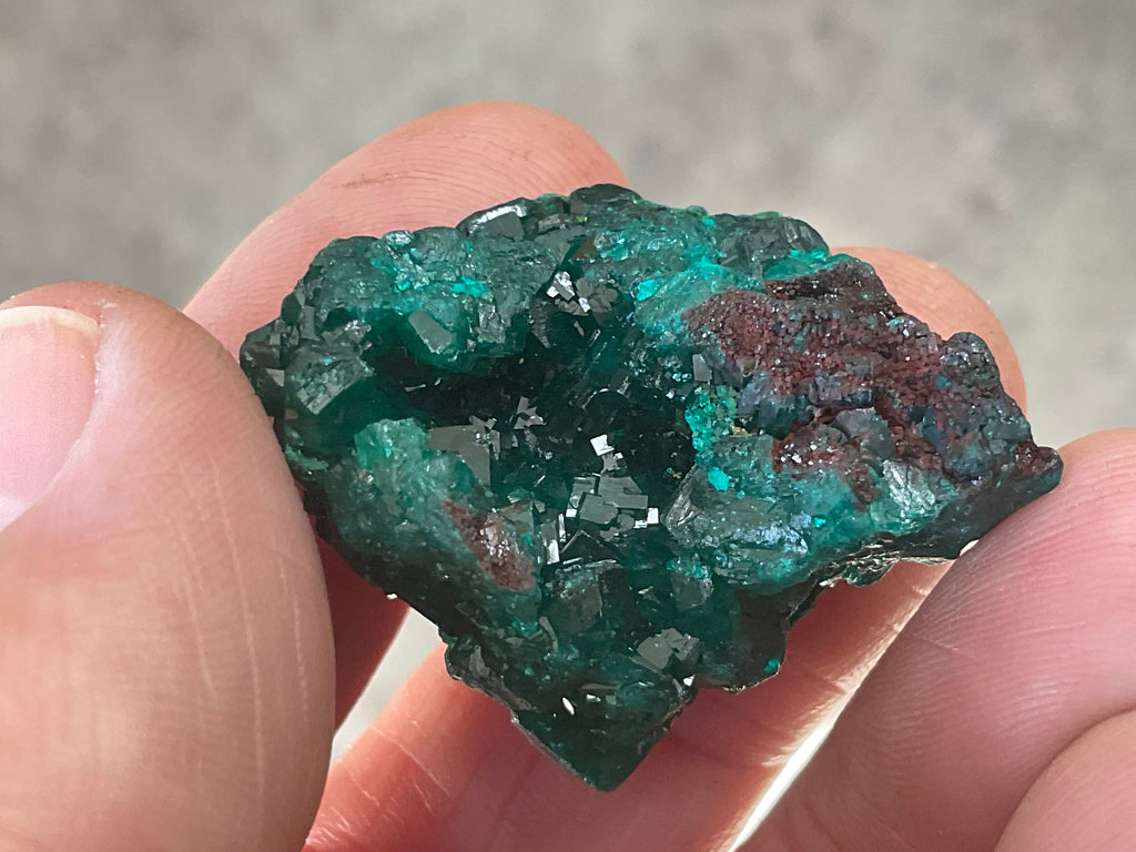 18g Congolese Dioptase Specimen 7C