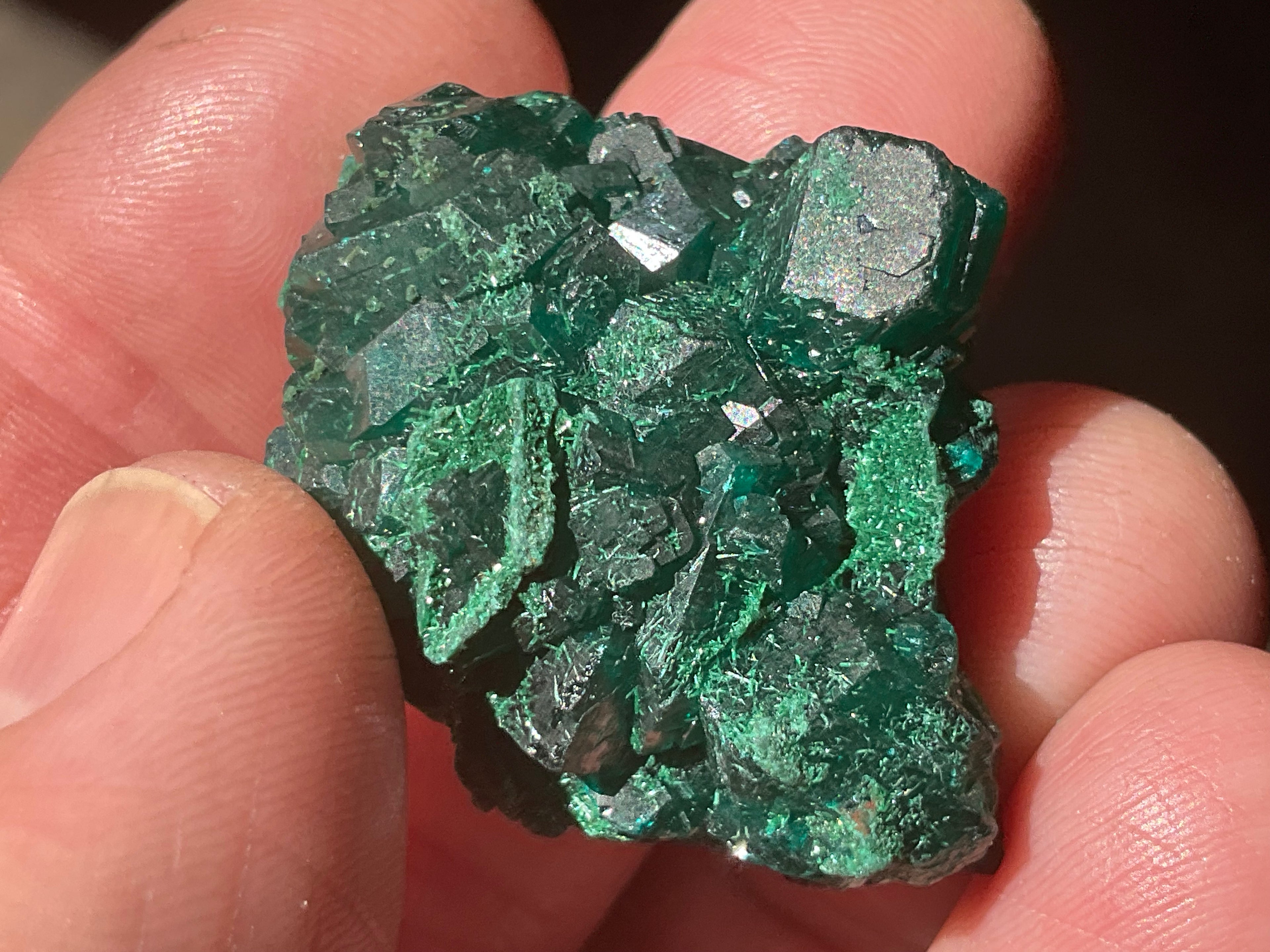 18g Congolese Dioptase Specimen 7C