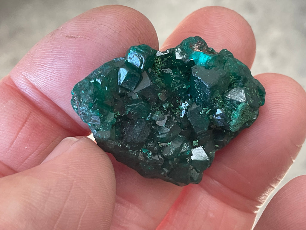 12g Congolese Dioptase Specimen 8C