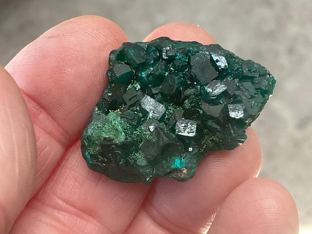 12g Congolese Dioptase Specimen 8C