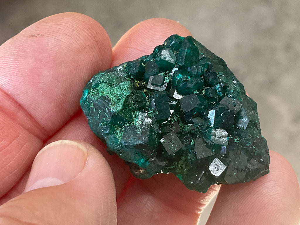12g Congolese Dioptase Specimen 8C
