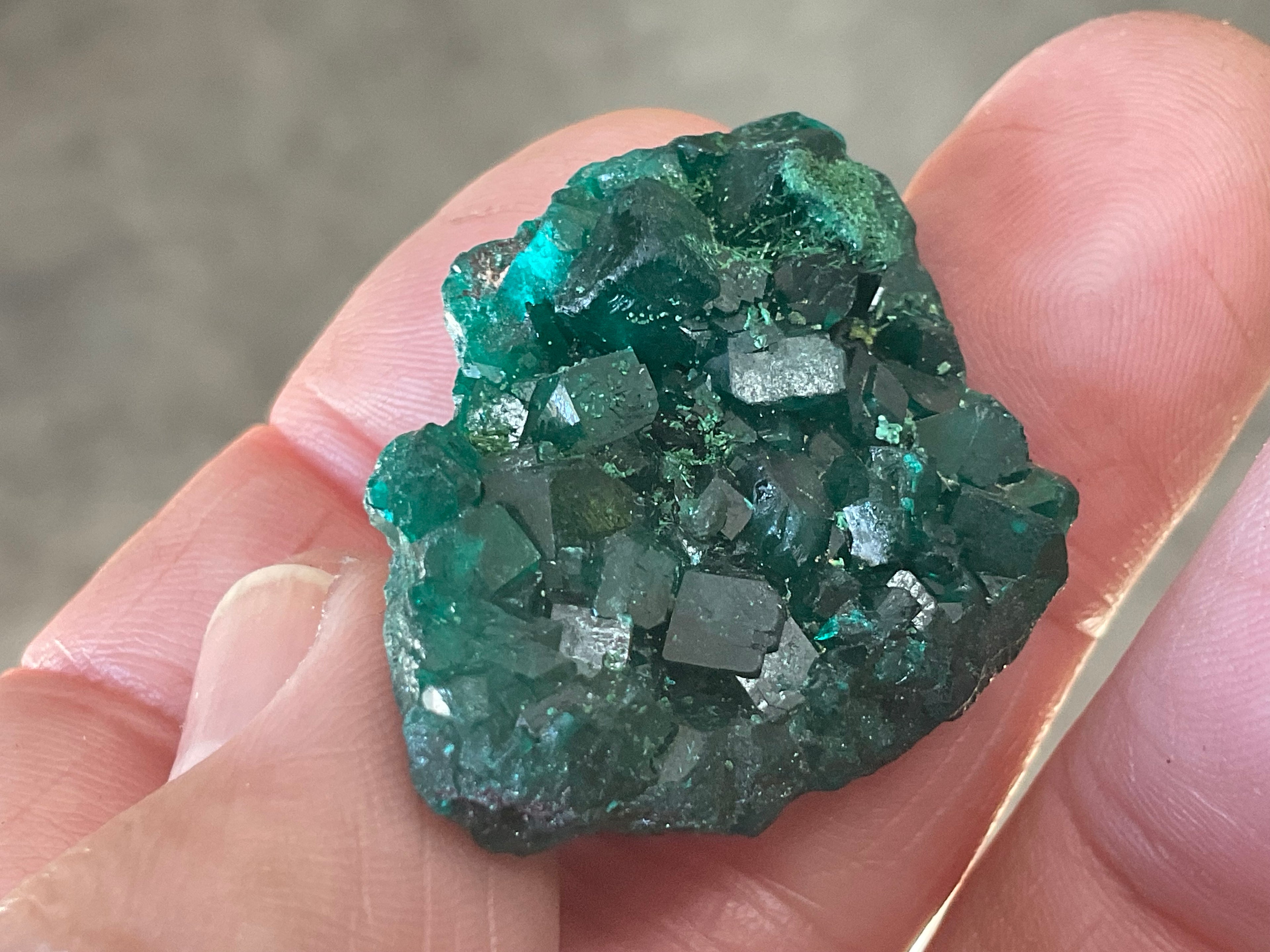 12g Congolese Dioptase Specimen 8C