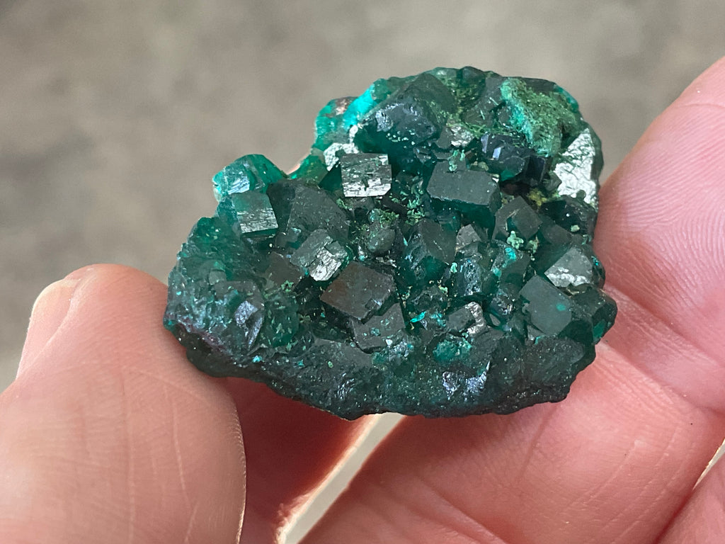 12g Congolese Dioptase Specimen 8C