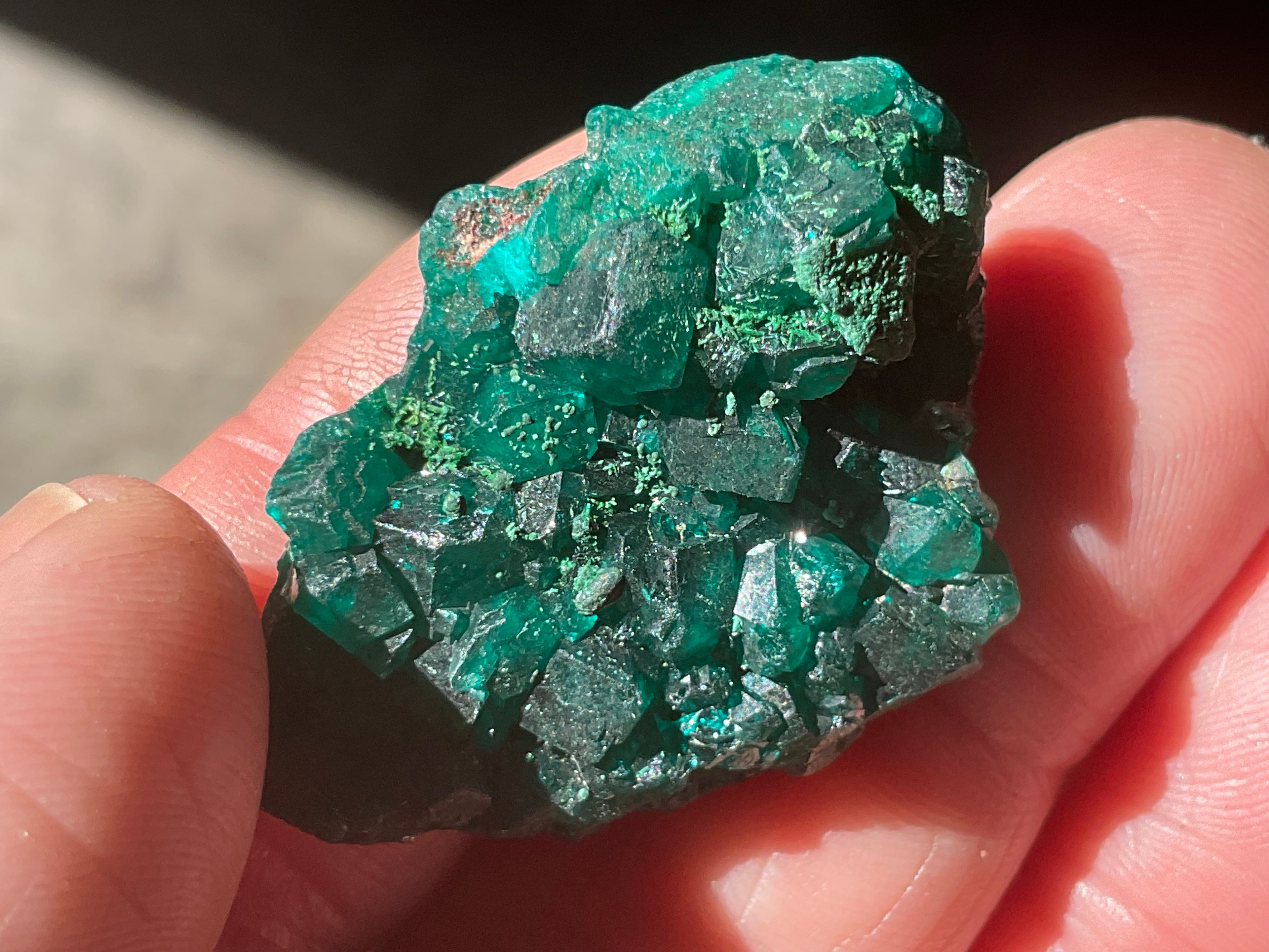 12g Congolese Dioptase Specimen 8C