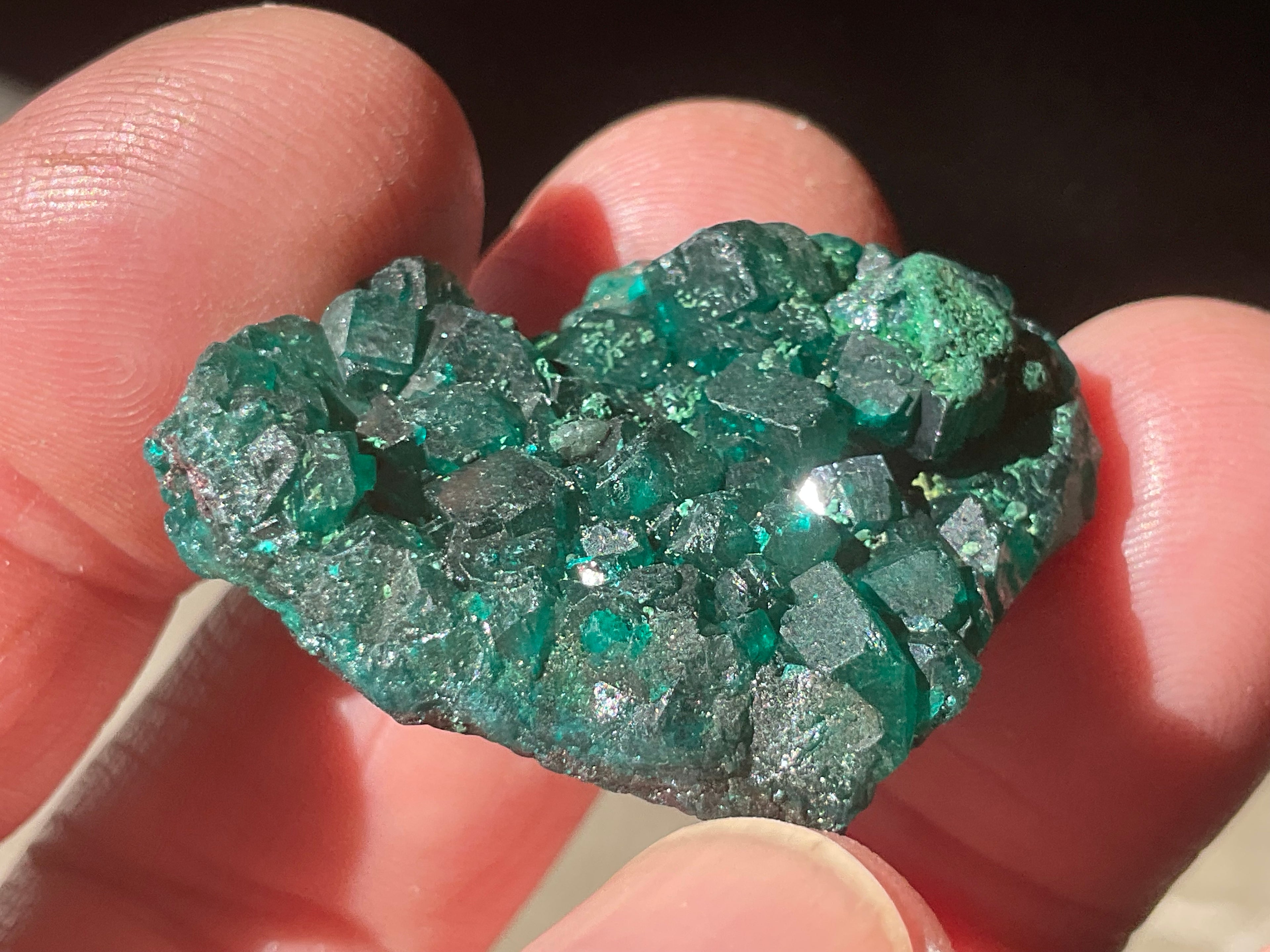 12g Congolese Dioptase Specimen 8C