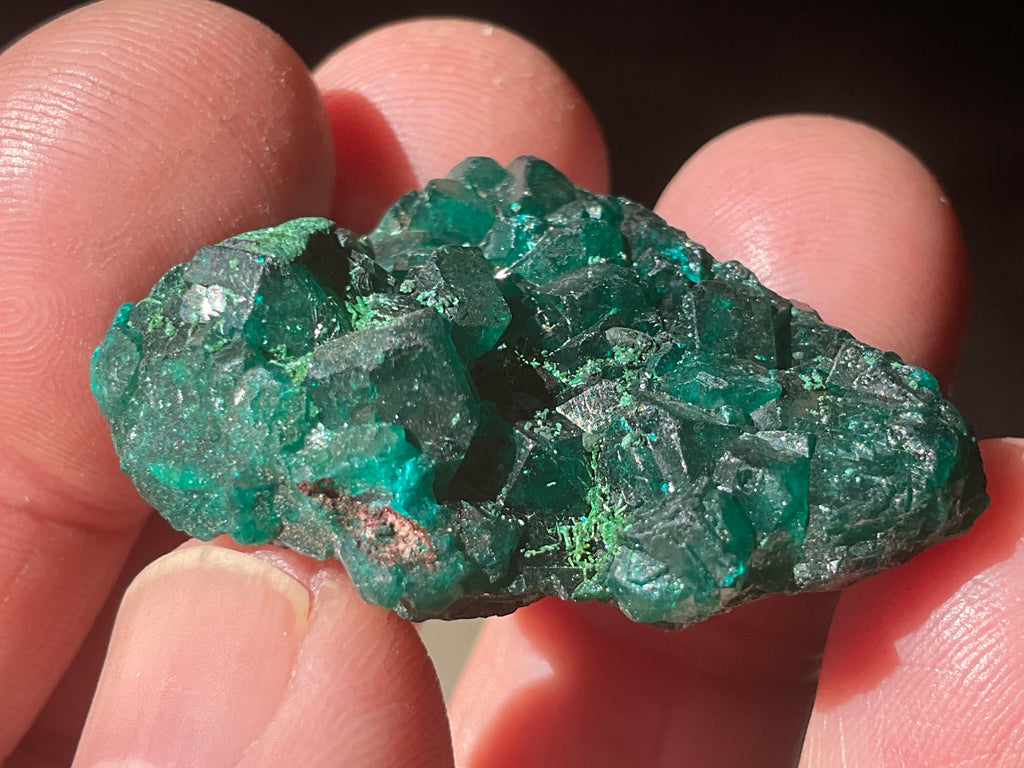 12g Congolese Dioptase Specimen 8C