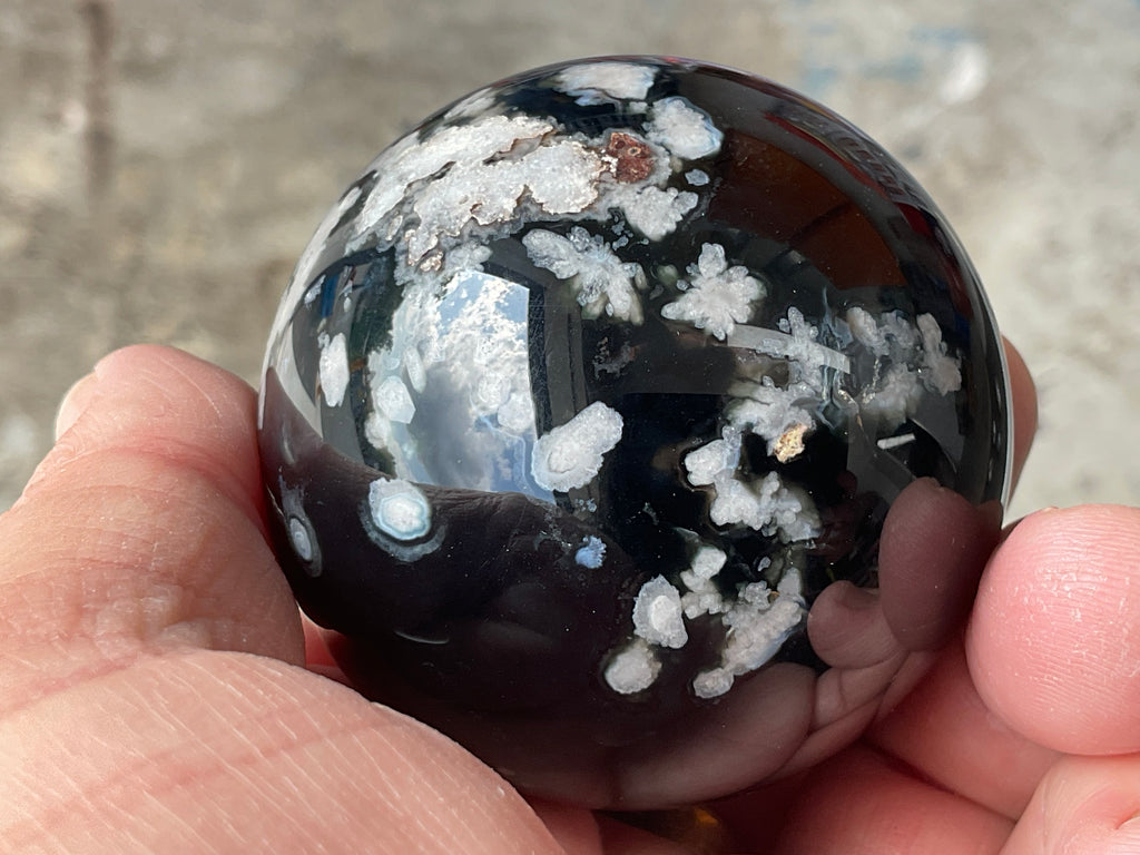 226g Black Flower Agate Sphere 4C