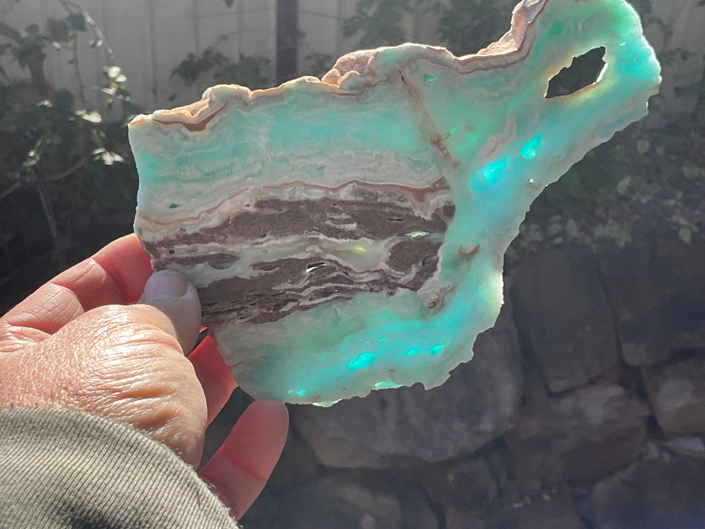296g Blue Aragonite/Caribbean Blue Calcite Slab