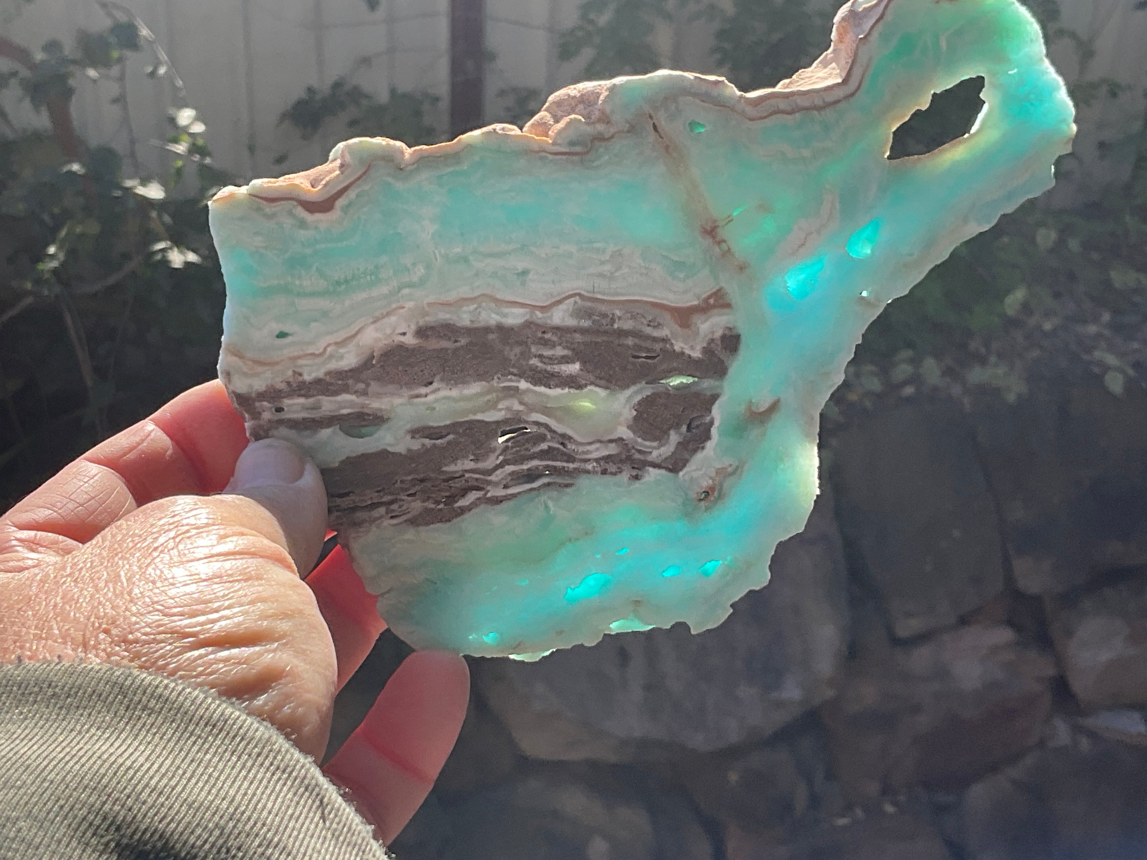 296g Blue Aragonite/Caribbean Blue Calcite Slab