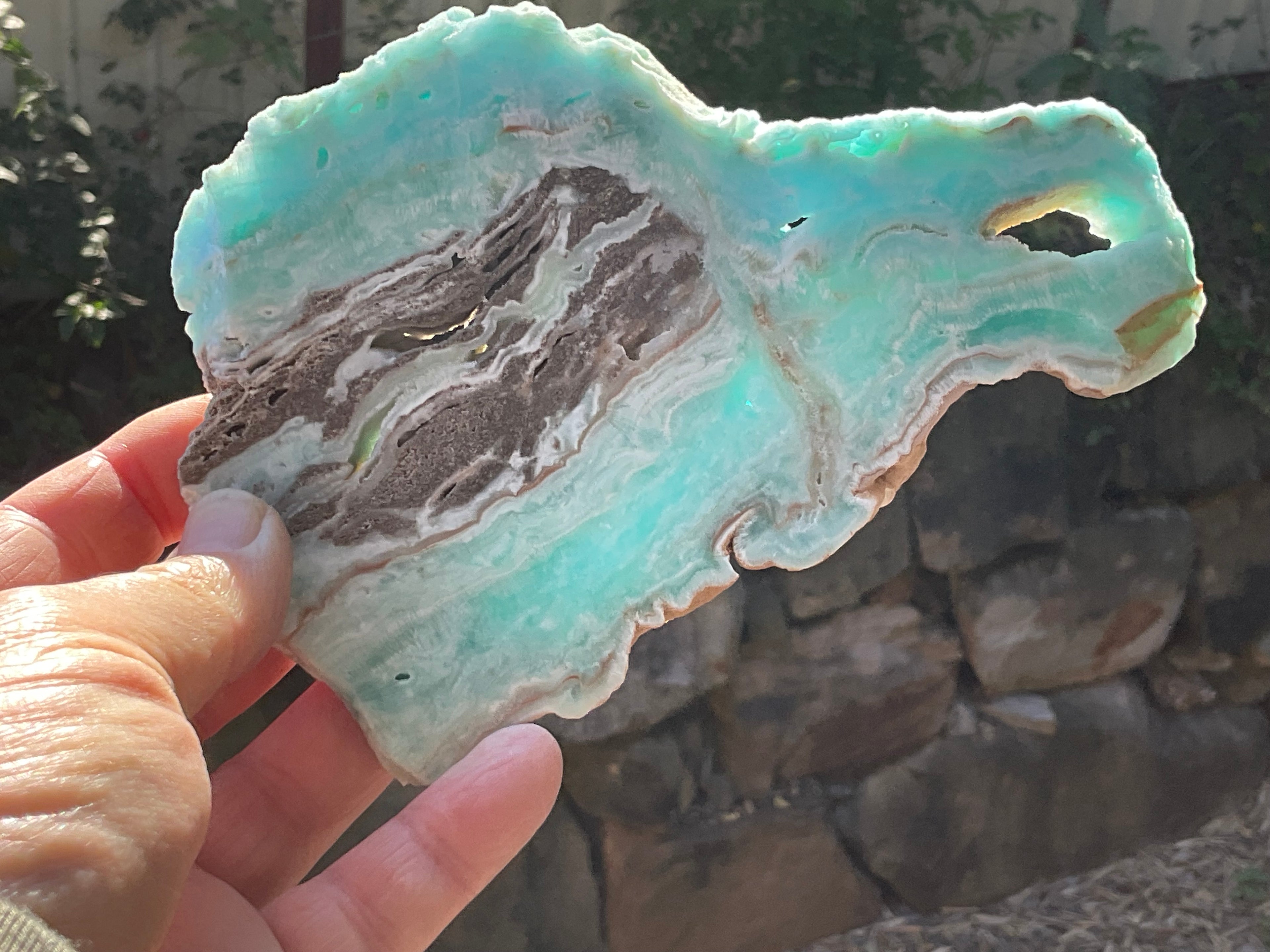 296g Blue Aragonite/Caribbean Blue Calcite Slab