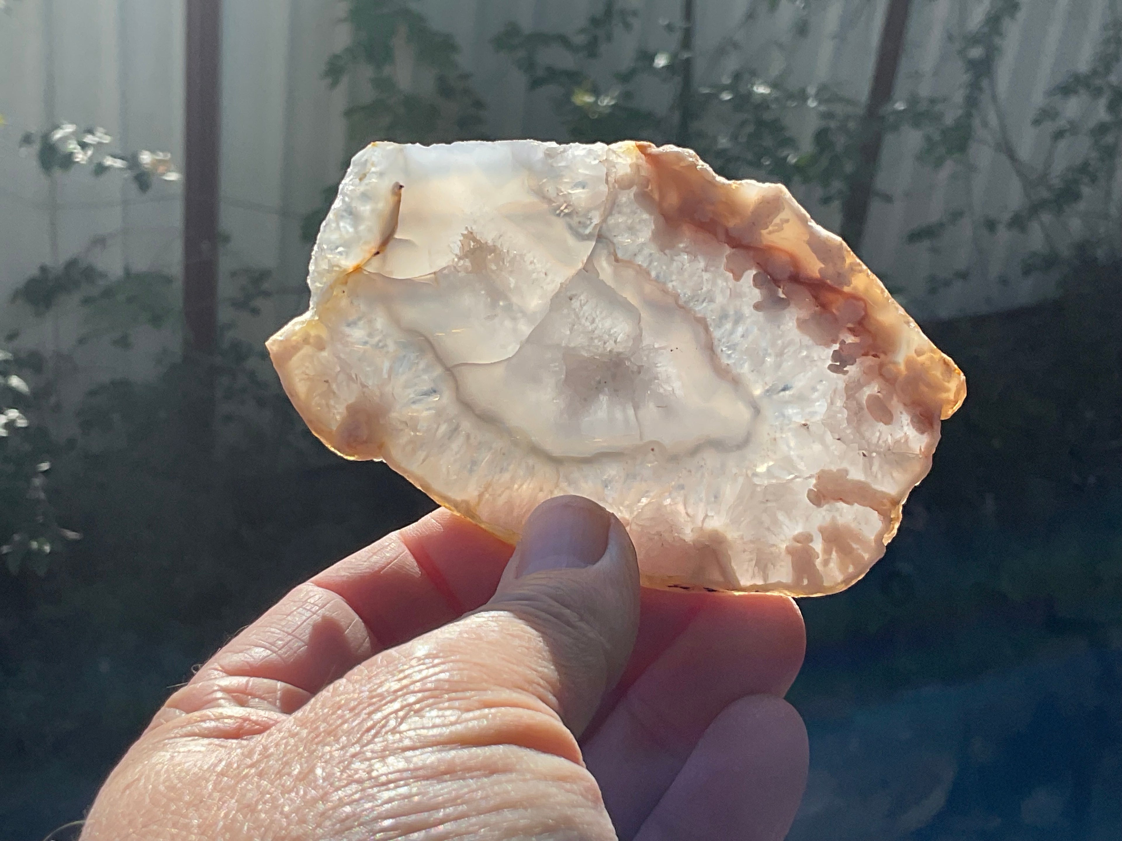 81g Flower Agate Polished Slab 1B