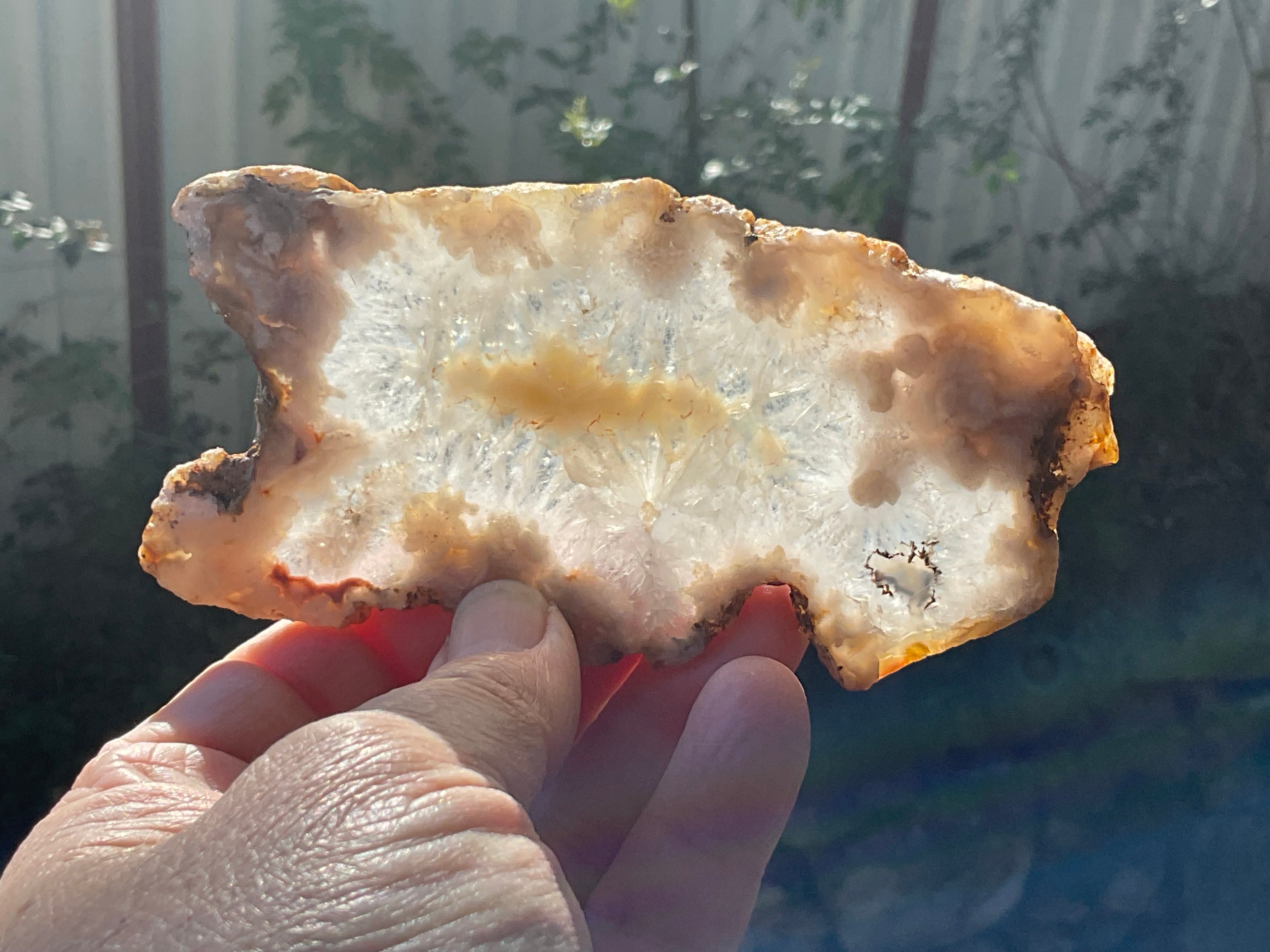 108g Flower Agate Polished Slab 1C