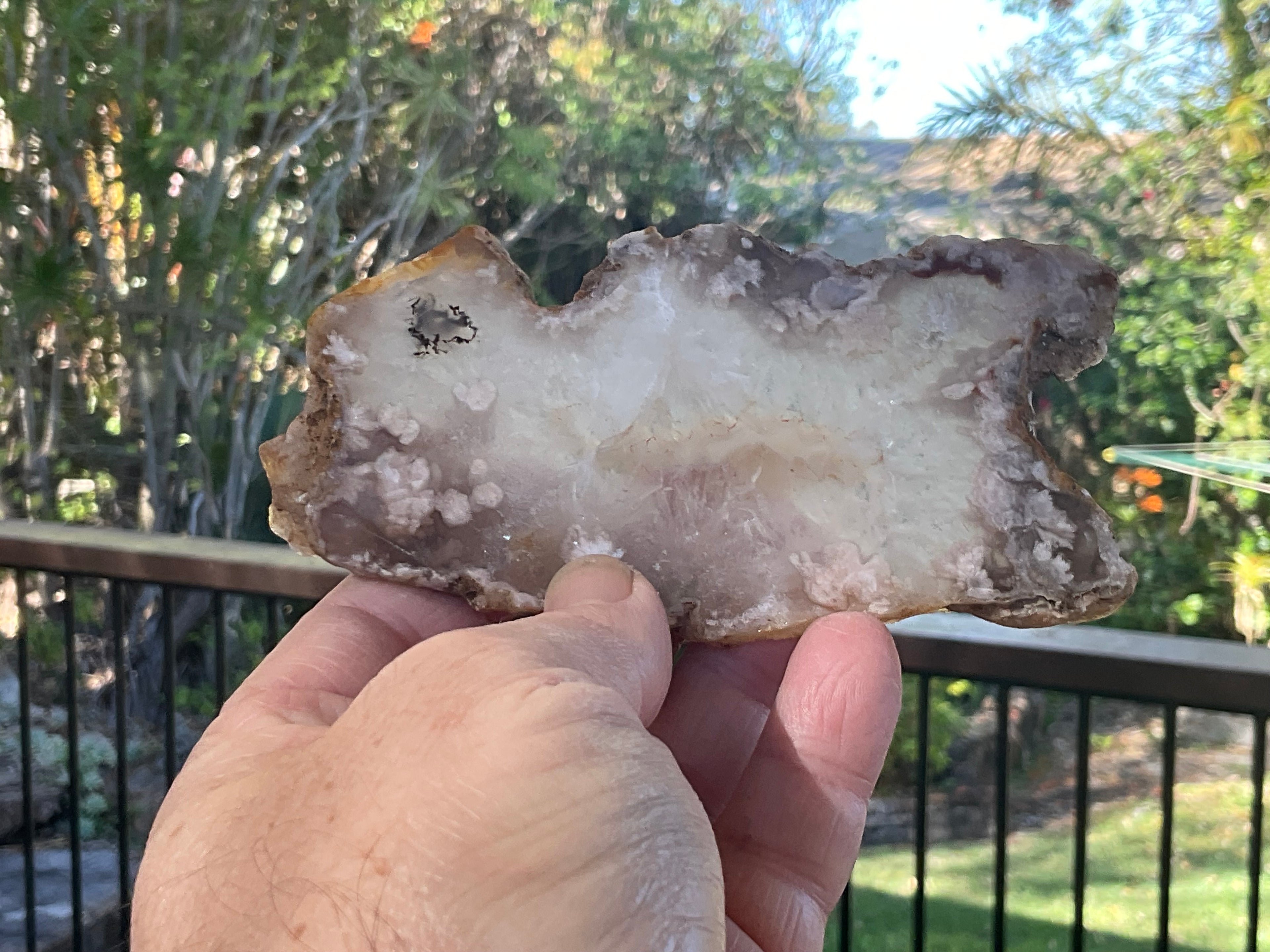 108g Flower Agate Polished Slab 1C