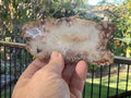 108g Flower Agate Polished Slab 1C