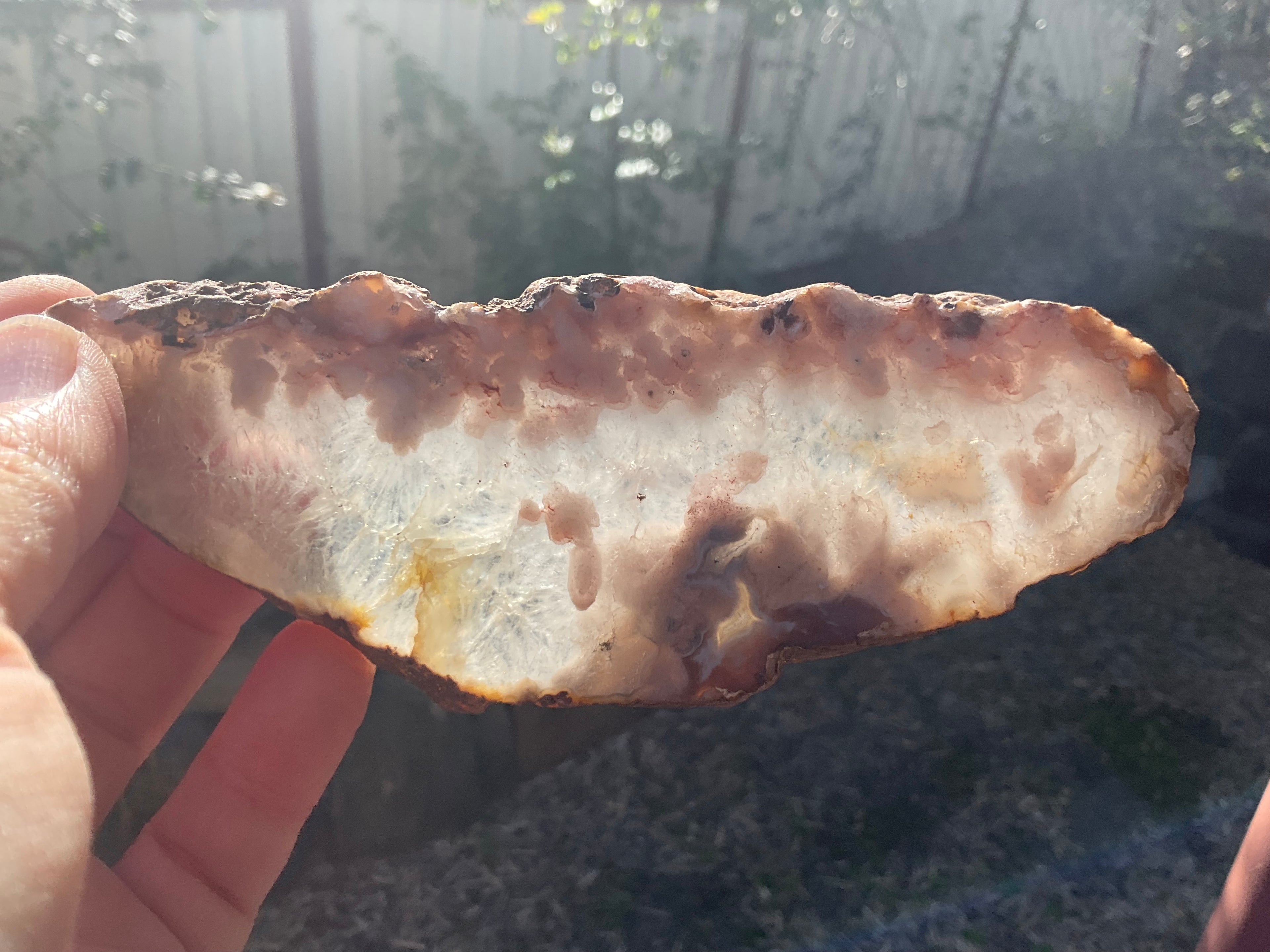 148g Flower Agate Polished Slab 3B