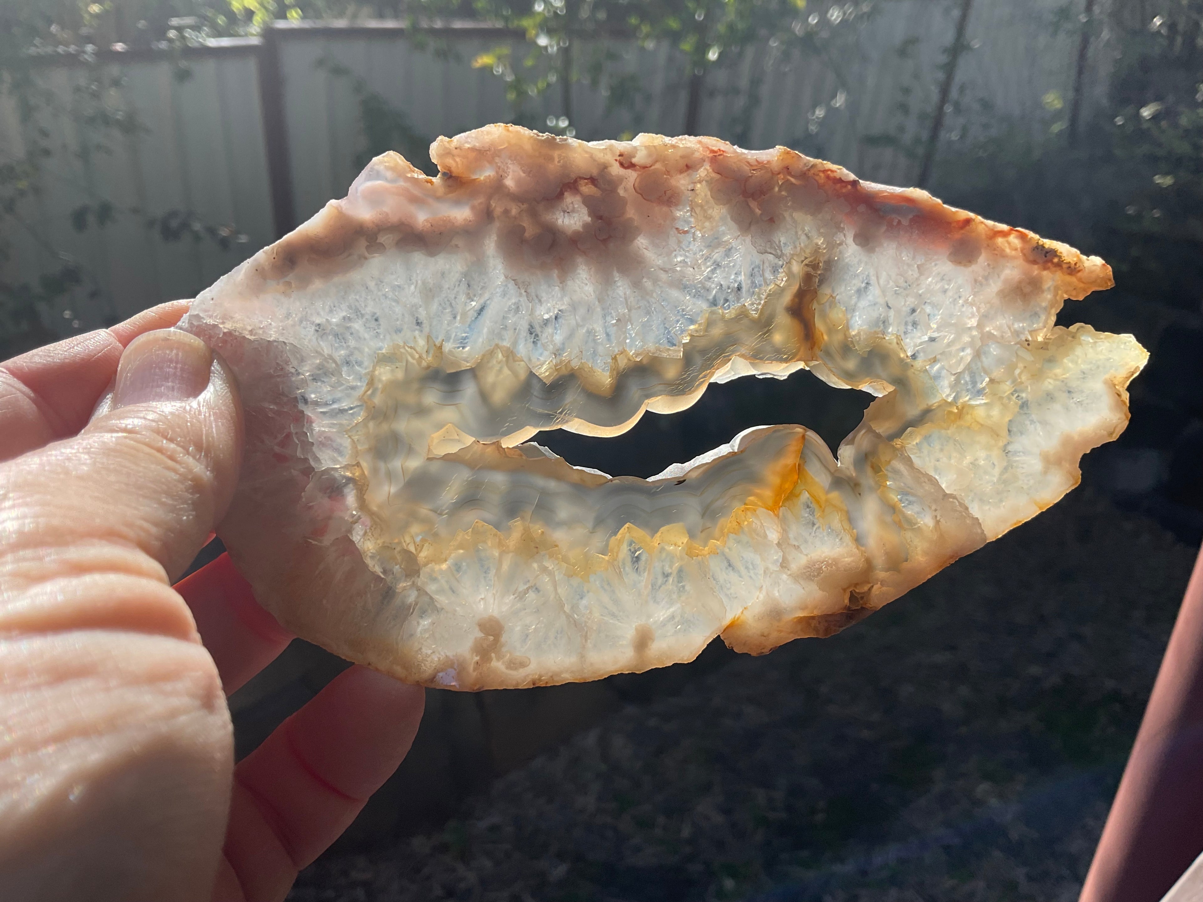 157g Flower Agate Polished Slab 5A