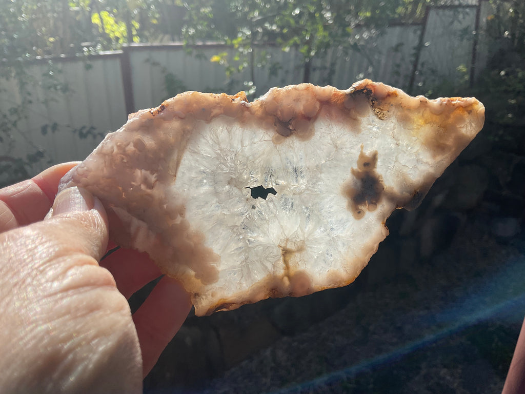 184g Flower Agate Polished Slab 5B