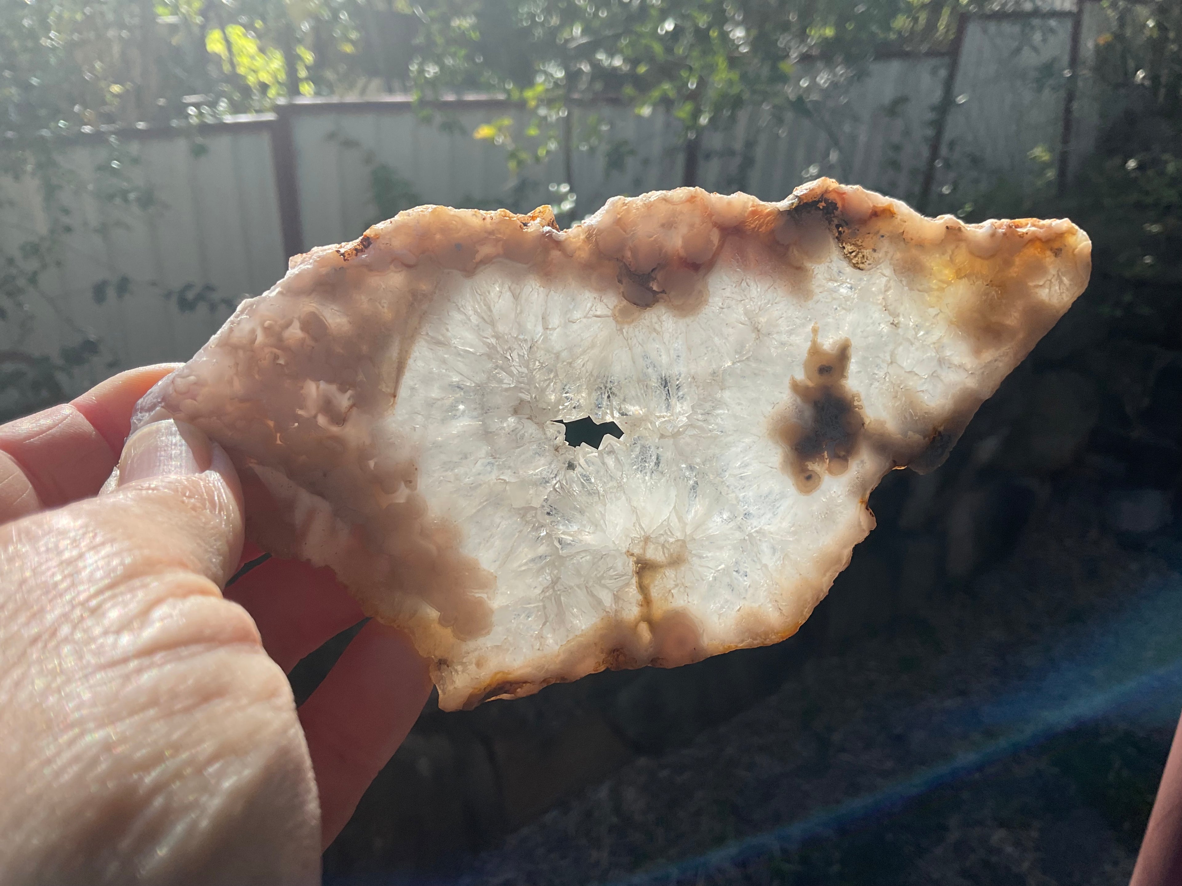 184g Flower Agate Polished Slab 5B