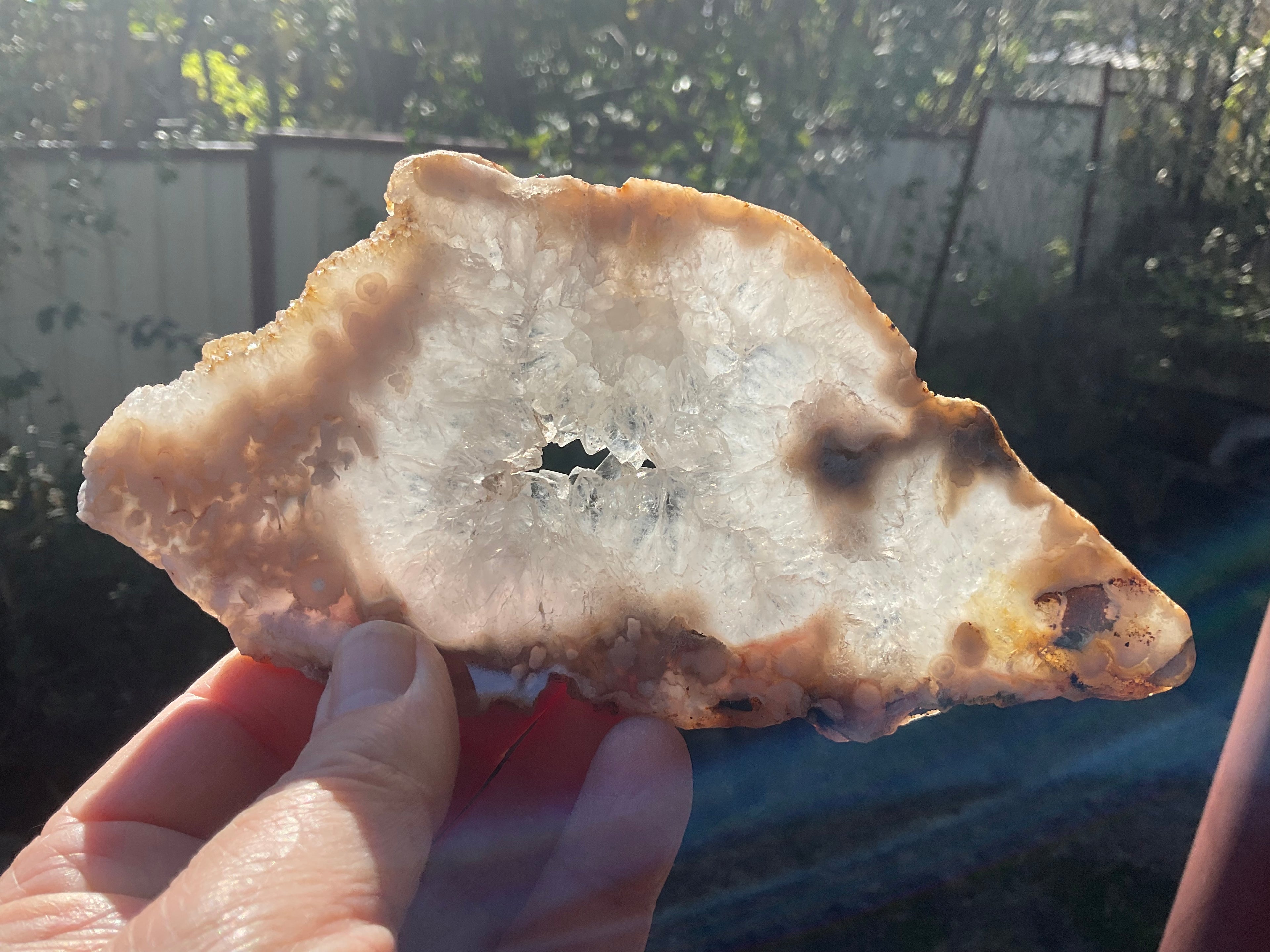 184g Flower Agate Polished Slab 5B